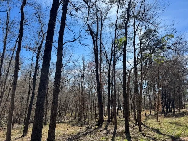 Unimproved Land For Sale in Anderson County , TBD Anderson County Rd. 319, Frankston, Texas 75763, 0, 0, Garage spaces, 0 Sqft, built in 0, Price $49,999, mls#21207650, Real Estate Agent in Frankston, Homes For Sale in Anderson county, Homes For Sale in Frankston, Realtor in Frankston Texas, Real Estate Brokerage Independent Realty Texas, Luminita Cordes Realtor