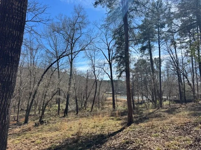 Unimproved Land For Sale in Anderson County , TBD Anderson County Rd. 319, Frankston, Texas 75763, 0, 0, Garage spaces, 0 Sqft, built in 0, Price $49,999, mls#21207650, Real Estate Agent in Frankston, Homes For Sale in Anderson county, Homes For Sale in Frankston, Realtor in Frankston Texas, Real Estate Brokerage Independent Realty Texas, Luminita Cordes Realtor