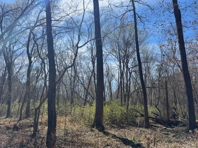 Unimproved Land For Sale in Anderson County , TBD Anderson County Rd. 319, Frankston, Texas 75763, 0, 0, Garage spaces, 0 Sqft, built in 0, Price $49,999, mls#21207650, Real Estate Agent in Frankston, Homes For Sale in Anderson county, Homes For Sale in Frankston, Realtor in Frankston Texas, Real Estate Brokerage Independent Realty Texas, Luminita Cordes Realtor