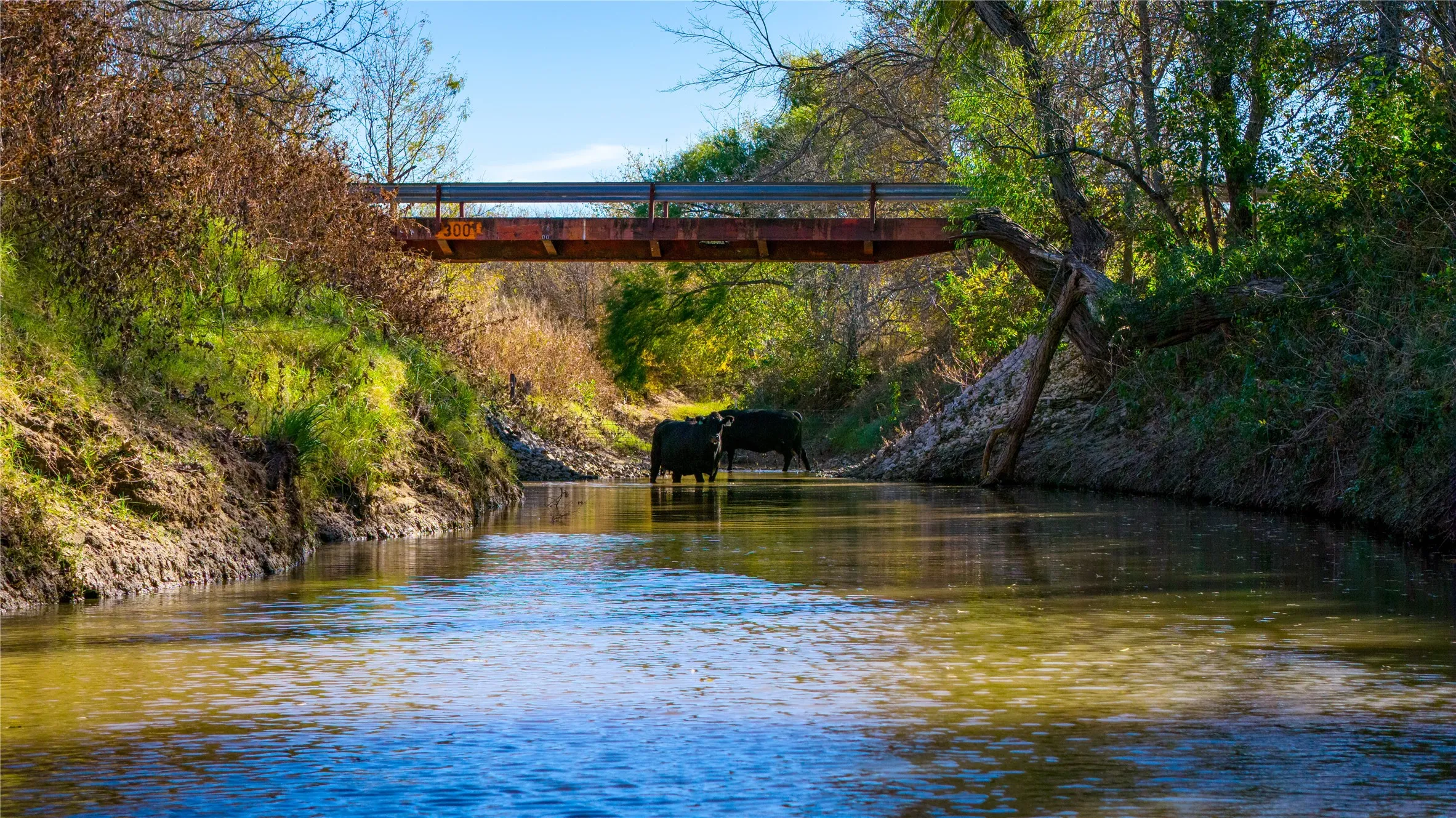 Ranch For Sale in Wise County , 124 Private Road 3209, Bridgeport, Texas 76426, 0, 0, Garage spaces, 0 Sqft, built in 1986, Price $7,495,000, mls#21206355, Real Estate Agent in Bridgeport, Homes For Sale in Wise county, Homes For Sale in Bridgeport, Realtor in Bridgeport Texas, Real Estate Brokerage Independent Realty Texas, Luminita Cordes Realtor