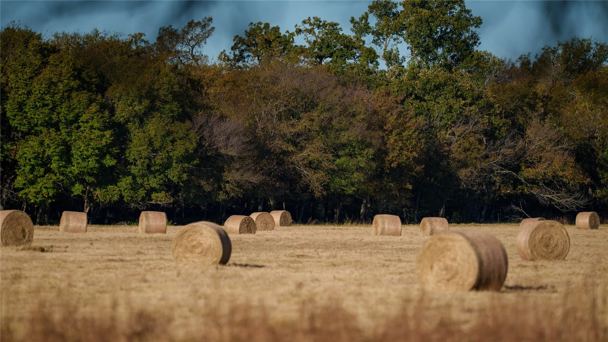 Ranch For Sale in Wise County , 124 Private Road 3209, Bridgeport, Texas 76426, 0, 0, Garage spaces, 0 Sqft, built in 1986, Price $7,495,000, mls#21206355, Real Estate Agent in Bridgeport, Homes For Sale in Wise county, Homes For Sale in Bridgeport, Realtor in Bridgeport Texas, Real Estate Brokerage Independent Realty Texas, Luminita Cordes Realtor