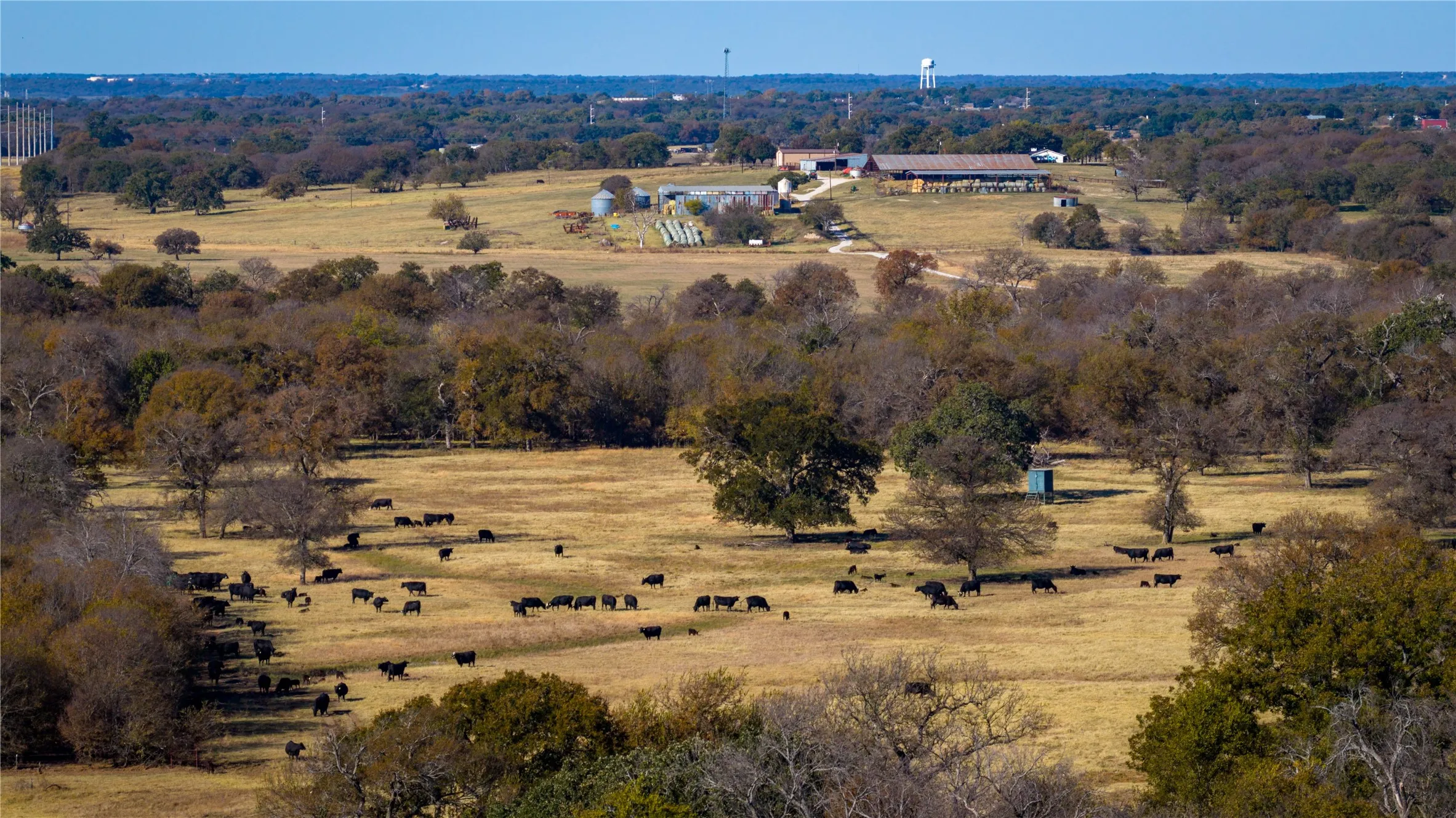 Ranch For Sale in Wise County , 124 Private Road 3209, Bridgeport, Texas 76426, 0, 0, Garage spaces, 0 Sqft, built in 1986, Price $7,495,000, mls#21206355, Real Estate Agent in Bridgeport, Homes For Sale in Wise county, Homes For Sale in Bridgeport, Realtor in Bridgeport Texas, Real Estate Brokerage Independent Realty Texas, Luminita Cordes Realtor