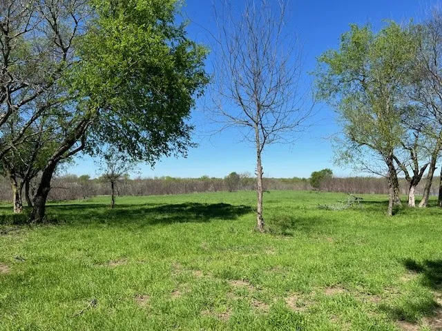 View of grassy yard with a rural view