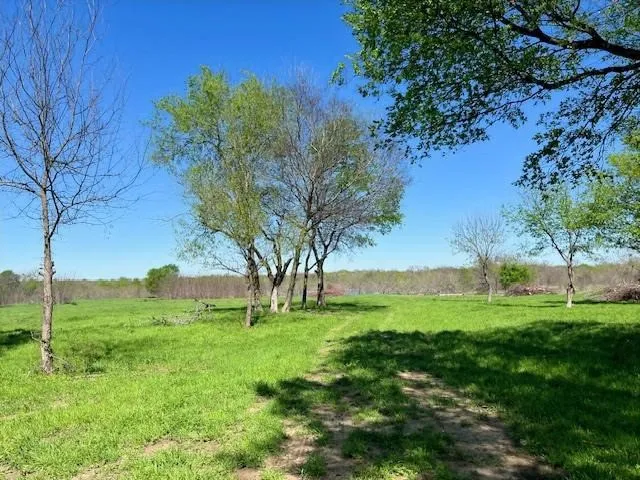 Unimproved Land For Sale in Van Zandt County , 000 County Rd 2624, Wills Point, Texas 75169, 0, 0, Garage spaces, 0 Sqft, built in 0, mls#21207924, Real Estate Agent in Wills Point, Homes For Sale in Van Zandt county, Homes For Sale in Wills Point, Realtor in Wills Point Texas, Real Estate Brokerage Independent Realty Texas, Luminita Cordes Realtor