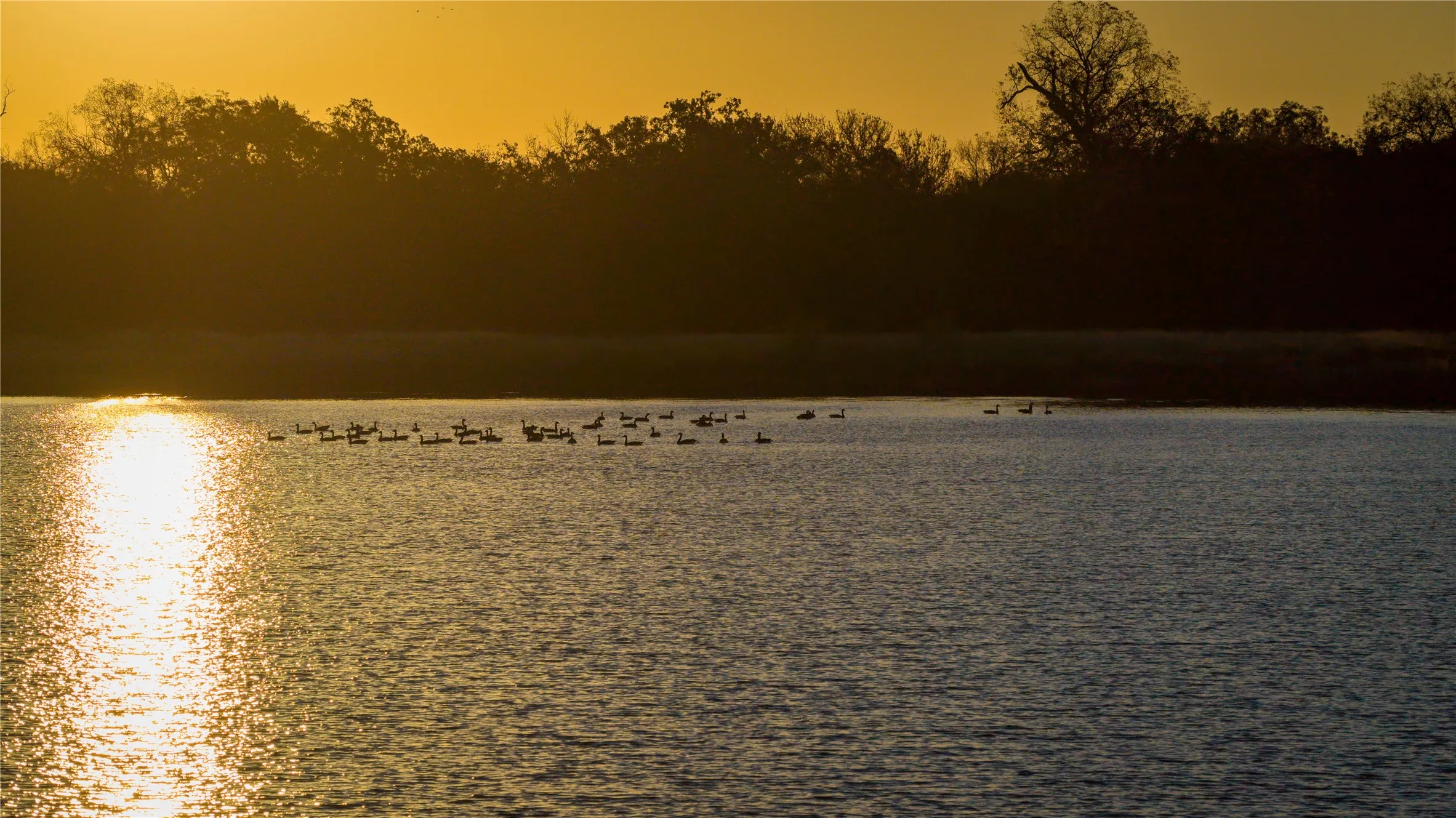 Peaceful waterfront view with evening sunlight reflecting on the water.