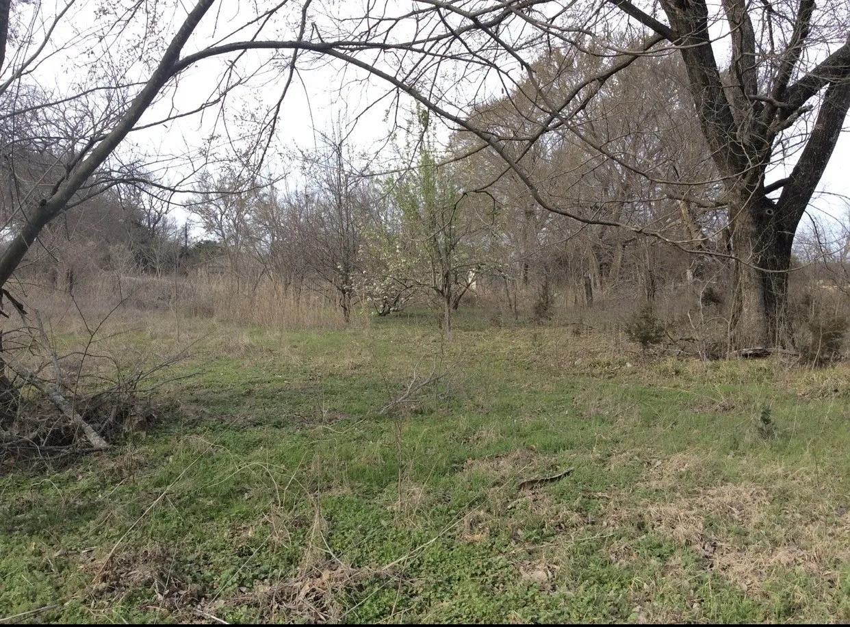 View of undeveloped land
