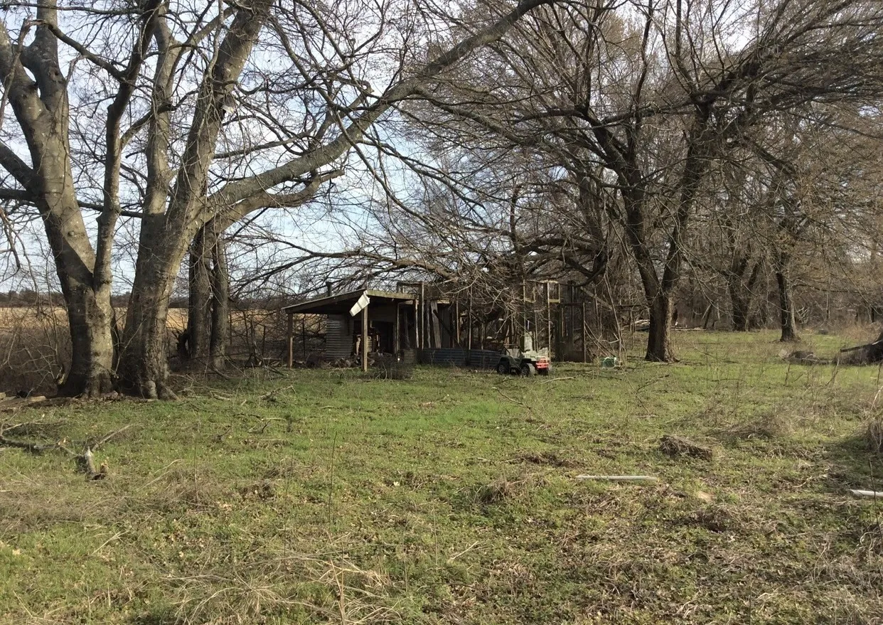 View of grassy yard