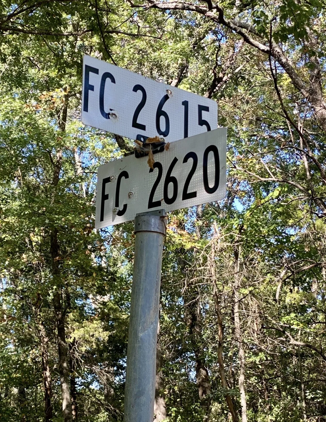 Unimproved Land For Sale in Fannin County , TBD County Road 2615, Bonham, Texas 75418, 0, 0, Garage spaces, 0 Sqft, built in 0, mls#21208151, Real Estate Agent in Bonham, Homes For Sale in Fannin county, Homes For Sale in Bonham, Realtor in Bonham Texas, Real Estate Brokerage Independent Realty Texas, Luminita Cordes Realtor