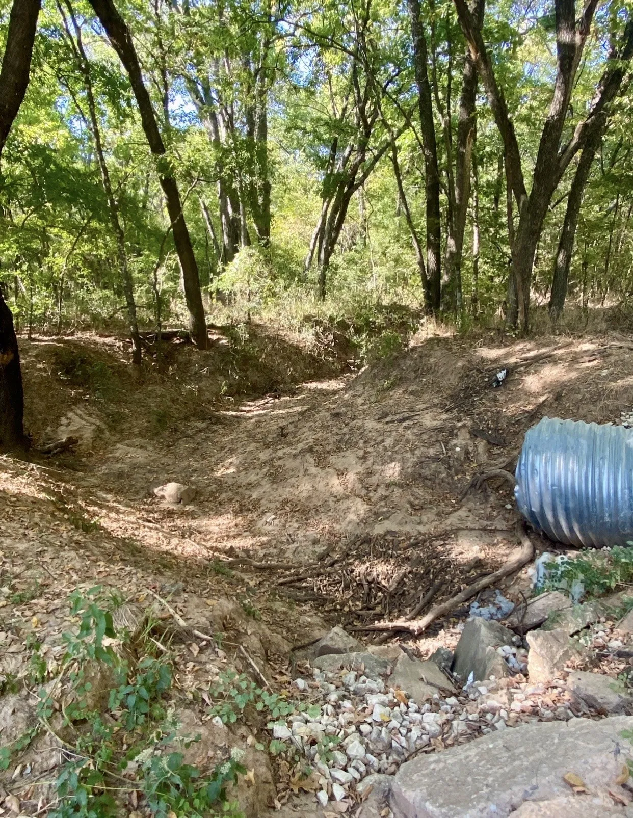 Unimproved Land For Sale in Fannin County , TBD County Road 2615, Bonham, Texas 75418, 0, 0, Garage spaces, 0 Sqft, built in 0, mls#21208151, Real Estate Agent in Bonham, Homes For Sale in Fannin county, Homes For Sale in Bonham, Realtor in Bonham Texas, Real Estate Brokerage Independent Realty Texas, Luminita Cordes Realtor