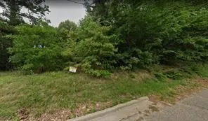 View of yard and curb
