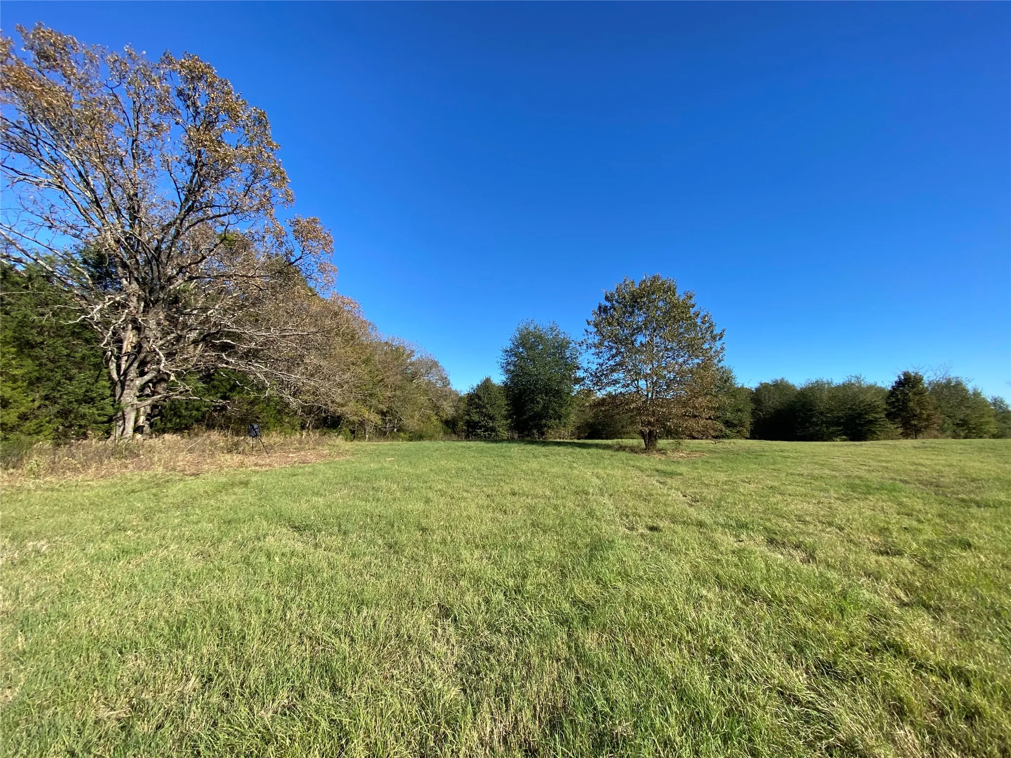 View of yard with a rural view