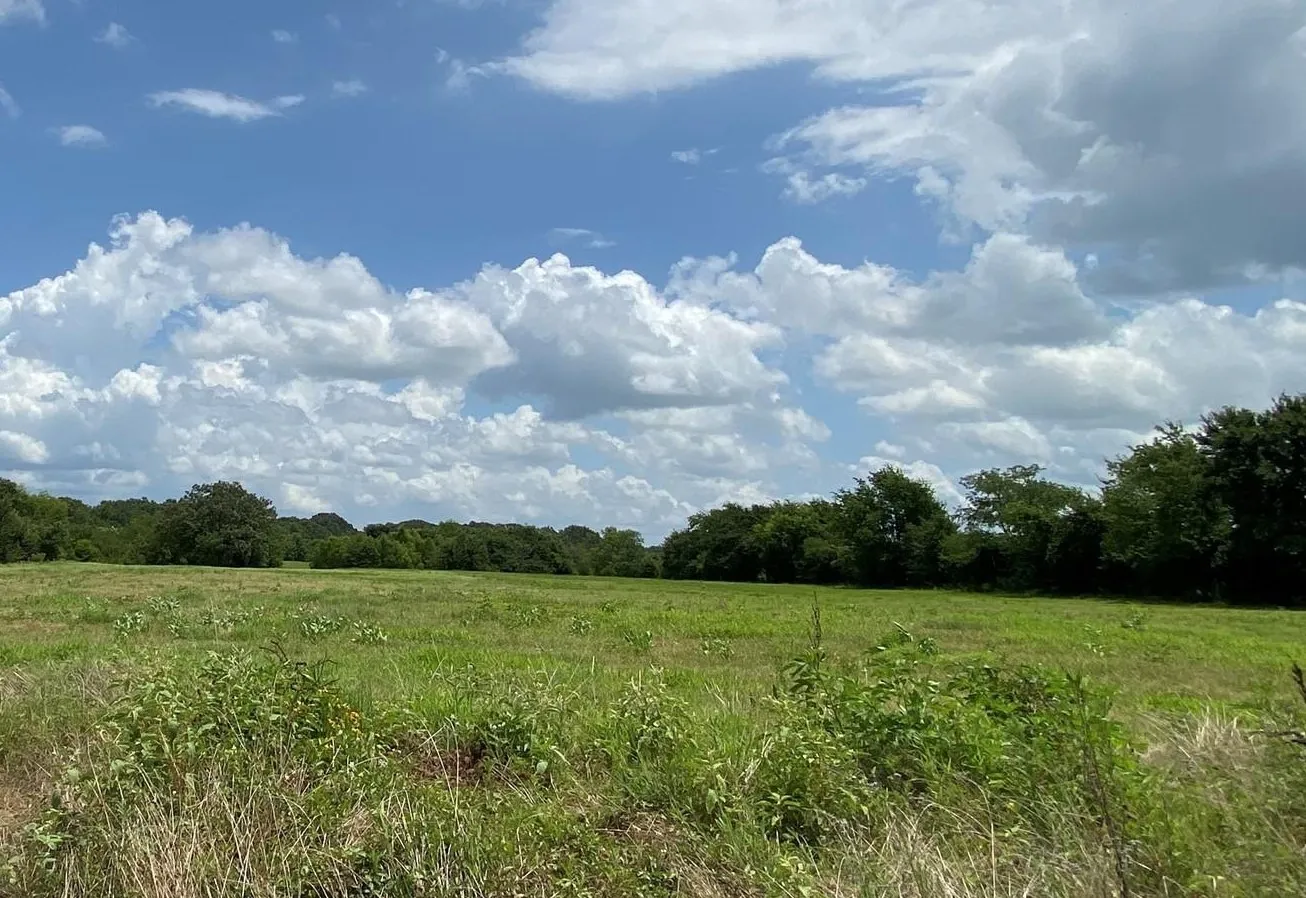 View of nature with rural landscape
