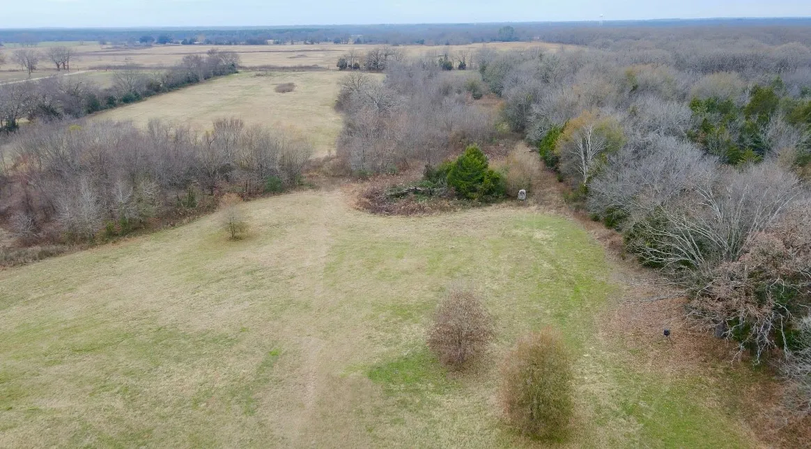 Unimproved Land For Sale in Hopkins County , 30 Acre County Road 2425, Como, Texas 75431, 0, 0, Garage spaces, 0 Sqft, built in 0, mls#21202725, Real Estate Agent in Como, Homes For Sale in Hopkins county, Homes For Sale in Como, Realtor in Como Texas, Real Estate Brokerage Independent Realty Texas, Luminita Cordes Realtor