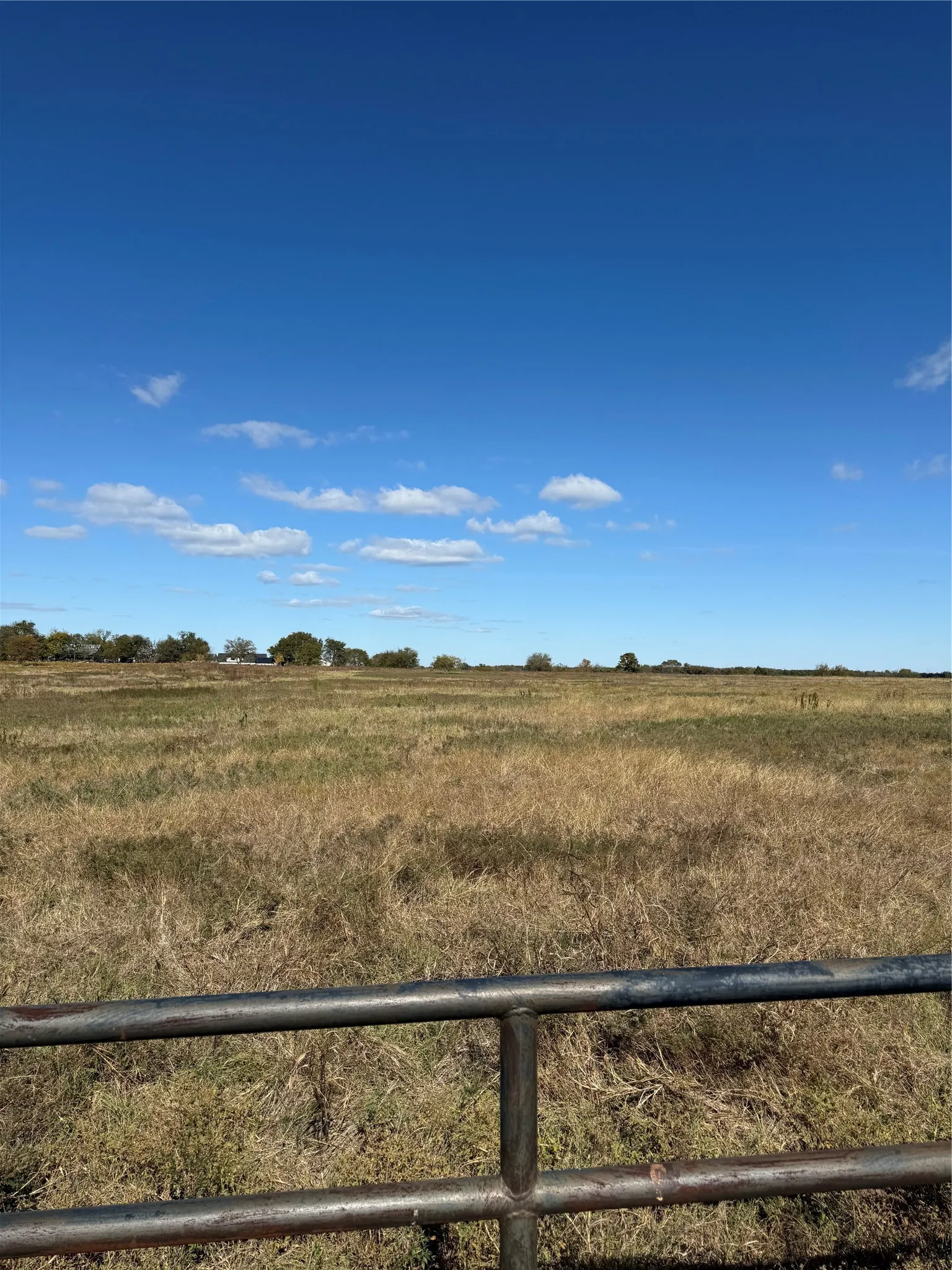 Unimproved Land For Sale in Grayson County , TBD Angus Road, Pottsboro, Texas 75076, 0, 0, Garage spaces, 0 Sqft, built in 0, Price $350,000, mls#21207229, Real Estate Agent in Pottsboro, Homes For Sale in Grayson county, Homes For Sale in Pottsboro, Realtor in Pottsboro Texas, Real Estate Brokerage Independent Realty Texas, Luminita Cordes Realtor