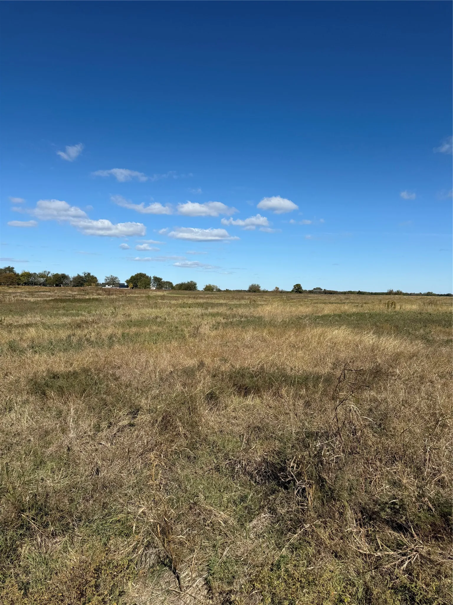 Unimproved Land For Sale in Grayson County , TBD Angus Road, Pottsboro, Texas 75076, 0, 0, Garage spaces, 0 Sqft, built in 0, Price $350,000, mls#21207229, Real Estate Agent in Pottsboro, Homes For Sale in Grayson county, Homes For Sale in Pottsboro, Realtor in Pottsboro Texas, Real Estate Brokerage Independent Realty Texas, Luminita Cordes Realtor