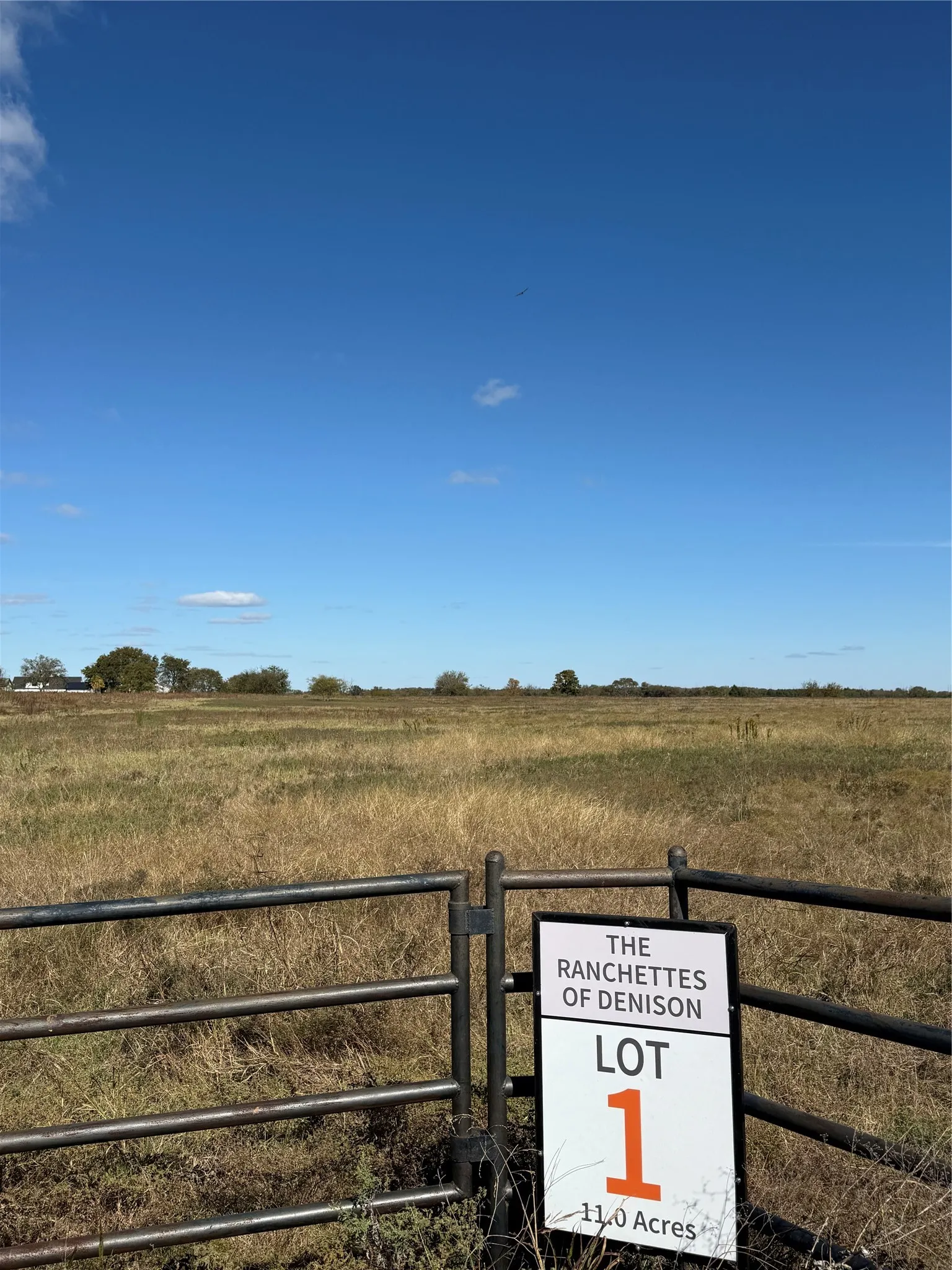 Unimproved Land For Sale in Grayson County , TBD Angus Road, Pottsboro, Texas 75076, 0, 0, Garage spaces, 0 Sqft, built in 0, Price $350,000, mls#21207229, Real Estate Agent in Pottsboro, Homes For Sale in Grayson county, Homes For Sale in Pottsboro, Realtor in Pottsboro Texas, Real Estate Brokerage Independent Realty Texas, Luminita Cordes Realtor