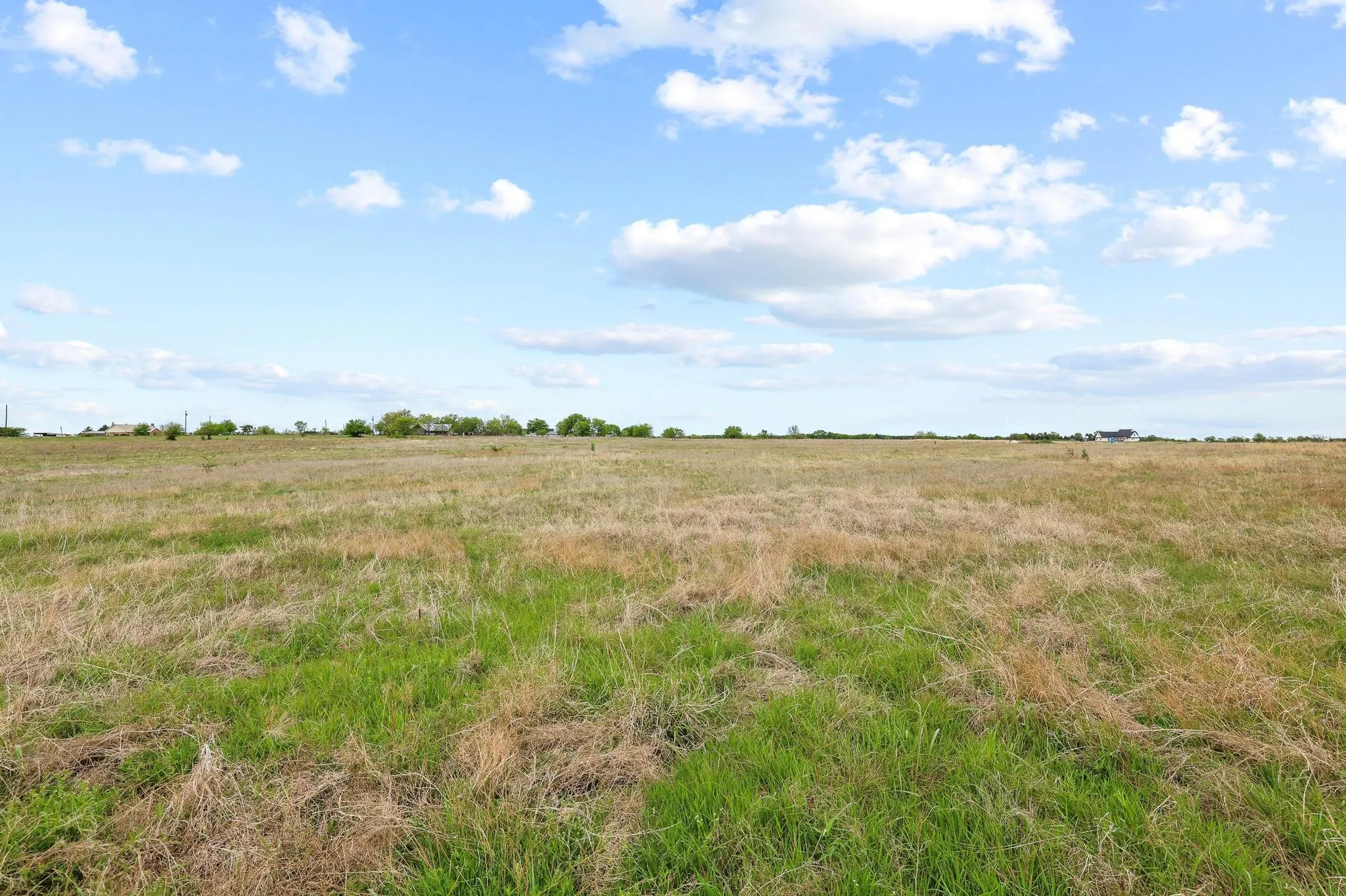 Expansive open field featuring varied green and brown grasses under a broad sky with scattered clouds