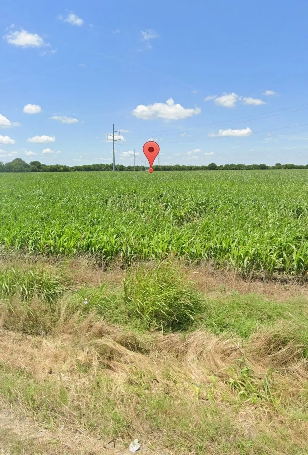 Unimproved Land For Sale in Collin County , 7400 CO RD 678, Royse City, Texas 75189, 0, 0, Garage spaces, 0 Sqft, built in 0, mls#21208485, Real Estate Agent in Royse City, Homes For Sale in Collin county, Homes For Sale in Royse City, Realtor in Royse City Texas, Real Estate Brokerage Independent Realty Texas, Luminita Cordes Realtor