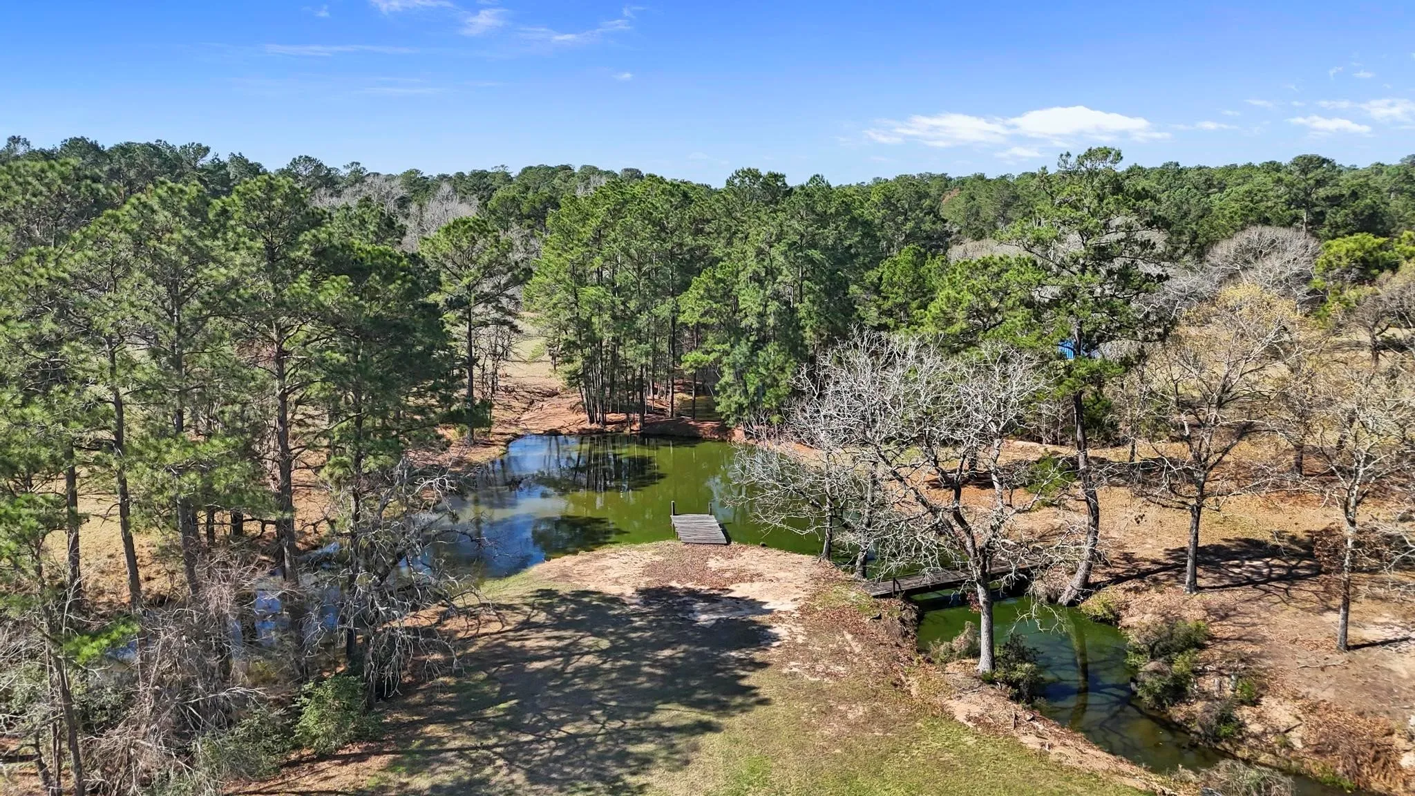 Single Family Residence For Sale in Grimes County , 19225 Forest Service Road 219, Richards, Texas 77873, 4 Bedrooms, 4 Bathrooms, 4 Garage spaces, 4,197 Sqft, built in 2024, Price $2,500,000, mls#21208635, Real Estate Agent in Richards, Homes For Sale in Grimes county, Homes For Sale in Richards, Realtor in Richards Texas, Real Estate Brokerage Independent Realty Texas, Luminita Cordes Realtor