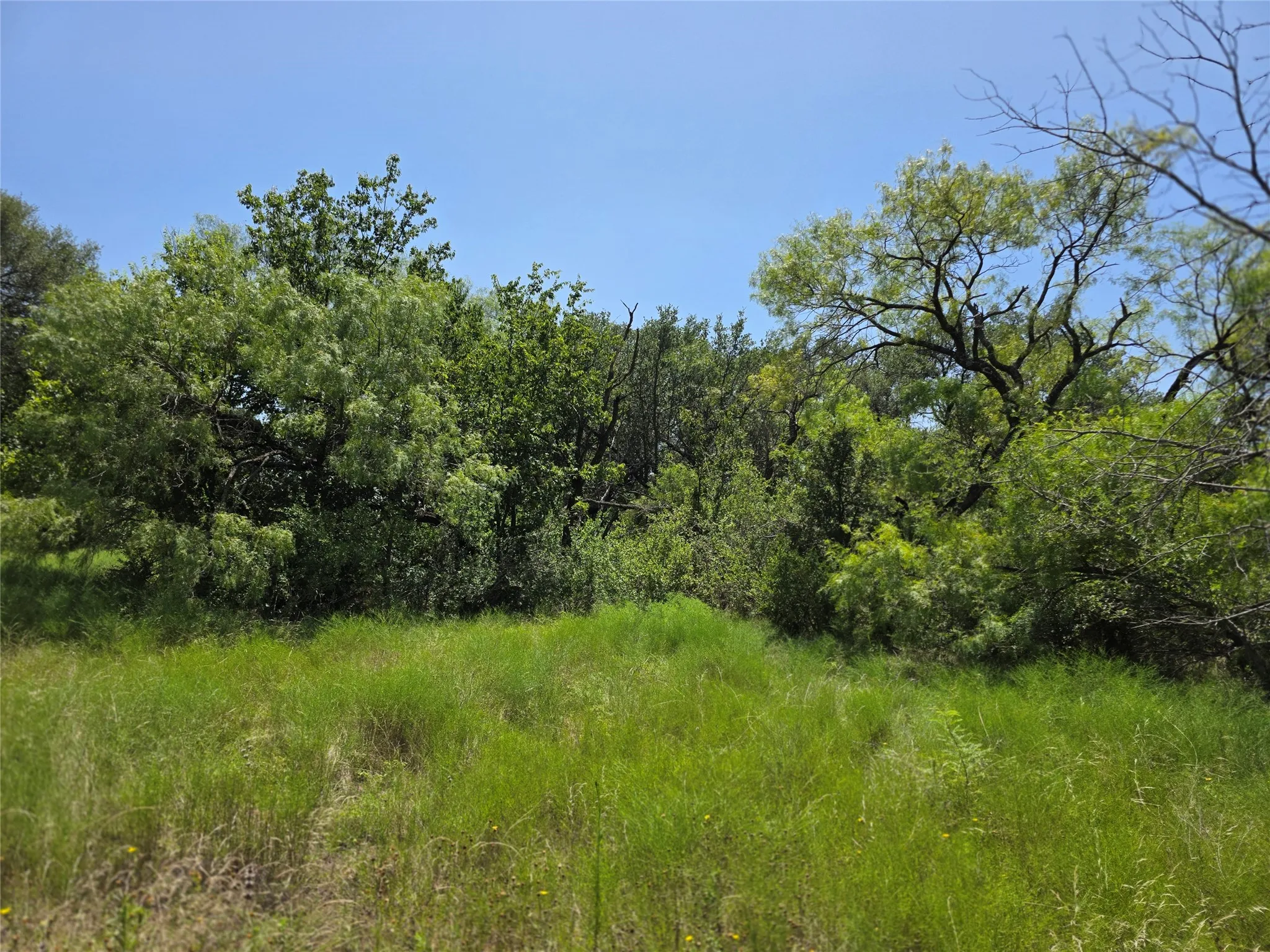 Ranch For Sale in Comanche County , 309 Hwy 36, Gustine, Texas 76455, 0, 0, Garage spaces, 0 Sqft, built in 0, mls#21208665, Real Estate Agent in Gustine, Homes For Sale in Comanche county, Homes For Sale in Gustine, Realtor in Gustine Texas, Real Estate Brokerage Independent Realty Texas, Luminita Cordes Realtor