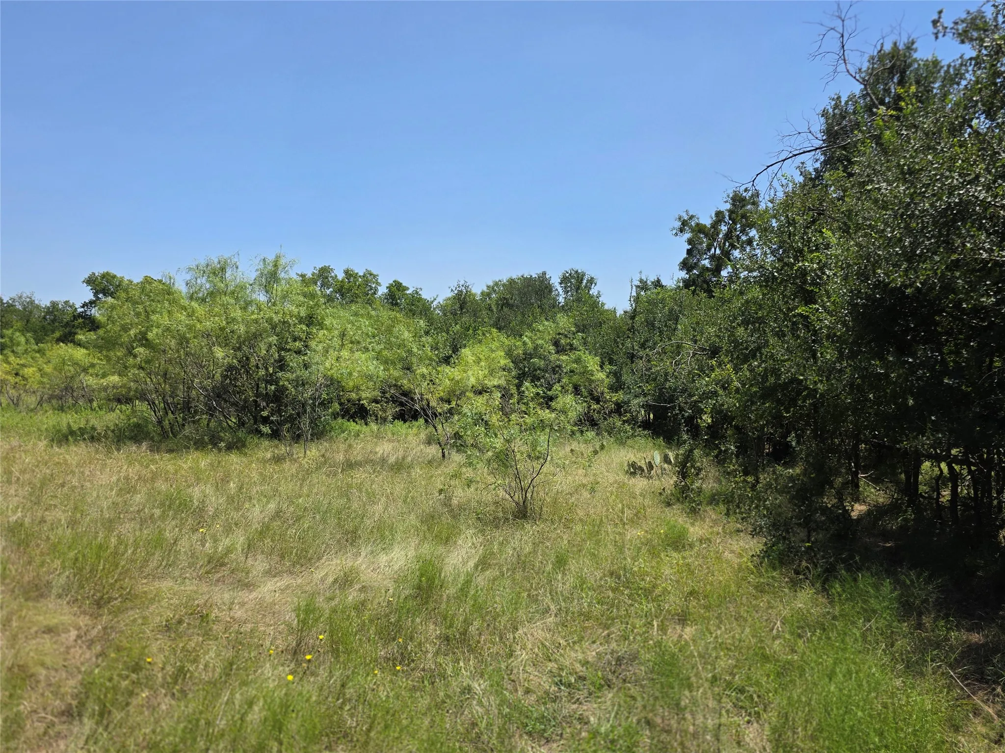 Ranch For Sale in Comanche County , 309 Hwy 36, Gustine, Texas 76455, 0, 0, Garage spaces, 0 Sqft, built in 0, mls#21208665, Real Estate Agent in Gustine, Homes For Sale in Comanche county, Homes For Sale in Gustine, Realtor in Gustine Texas, Real Estate Brokerage Independent Realty Texas, Luminita Cordes Realtor