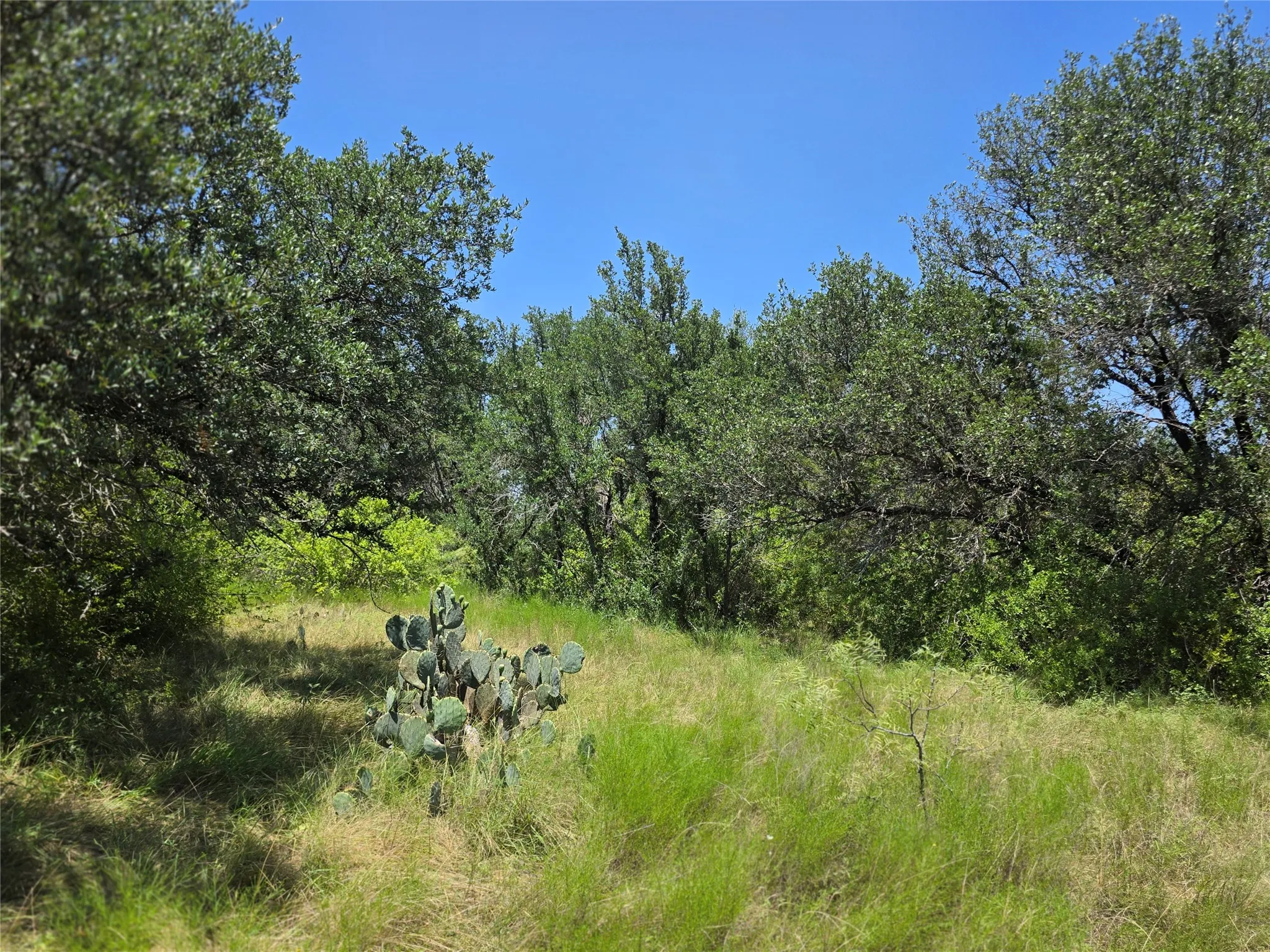 Ranch For Sale in Comanche County , 309 Hwy 36, Gustine, Texas 76455, 0, 0, Garage spaces, 0 Sqft, built in 0, mls#21208665, Real Estate Agent in Gustine, Homes For Sale in Comanche county, Homes For Sale in Gustine, Realtor in Gustine Texas, Real Estate Brokerage Independent Realty Texas, Luminita Cordes Realtor