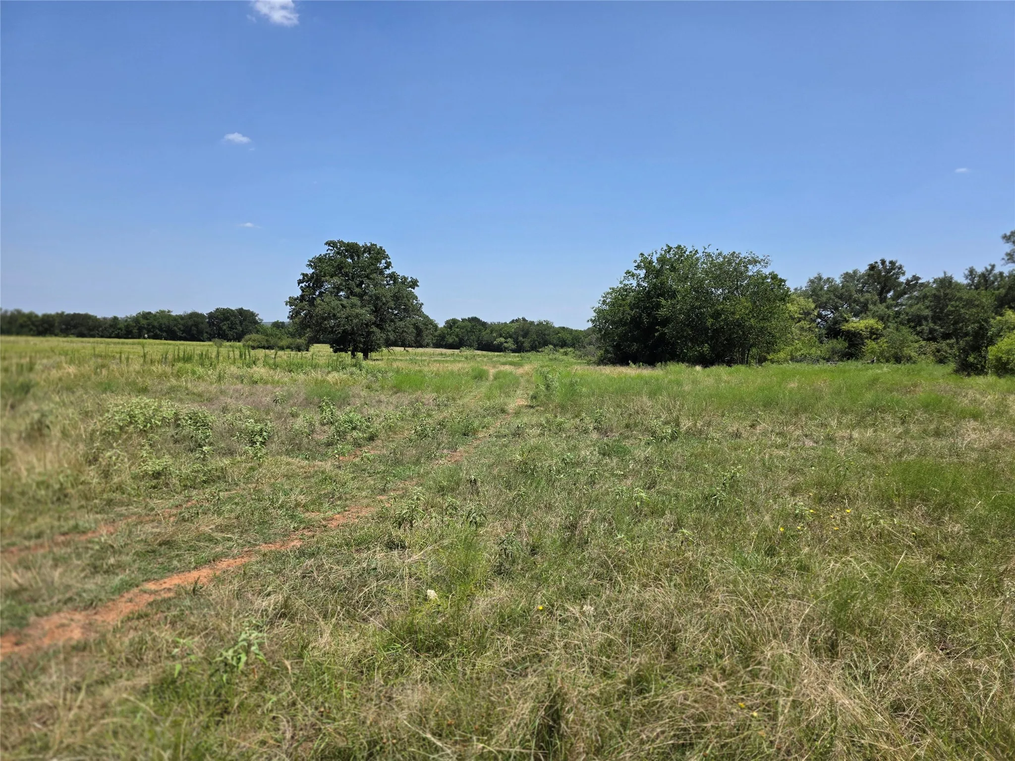 Ranch For Sale in Comanche County , 309 Hwy 36, Gustine, Texas 76455, 0, 0, Garage spaces, 0 Sqft, built in 0, mls#21208665, Real Estate Agent in Gustine, Homes For Sale in Comanche county, Homes For Sale in Gustine, Realtor in Gustine Texas, Real Estate Brokerage Independent Realty Texas, Luminita Cordes Realtor