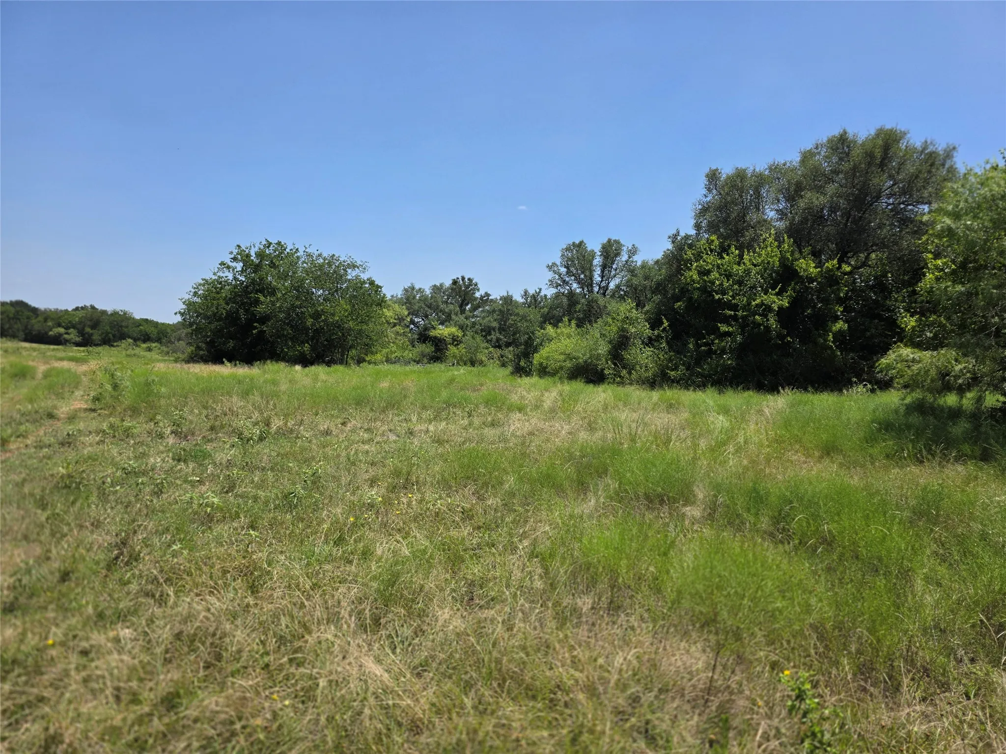 Ranch For Sale in Comanche County , 309 Hwy 36, Gustine, Texas 76455, 0, 0, Garage spaces, 0 Sqft, built in 0, mls#21208665, Real Estate Agent in Gustine, Homes For Sale in Comanche county, Homes For Sale in Gustine, Realtor in Gustine Texas, Real Estate Brokerage Independent Realty Texas, Luminita Cordes Realtor