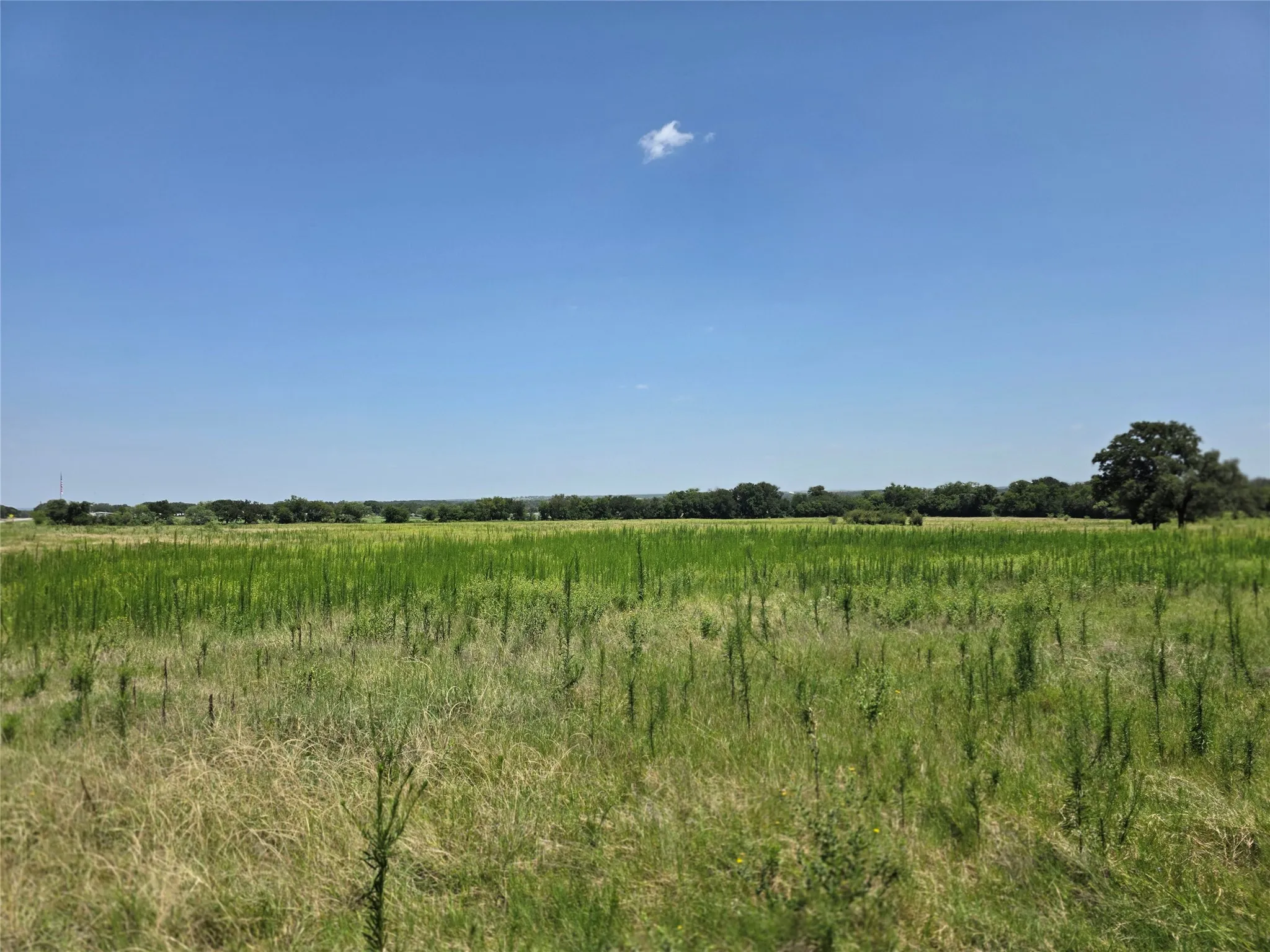 Ranch For Sale in Comanche County , 309 Hwy 36, Gustine, Texas 76455, 0, 0, Garage spaces, 0 Sqft, built in 0, mls#21208665, Real Estate Agent in Gustine, Homes For Sale in Comanche county, Homes For Sale in Gustine, Realtor in Gustine Texas, Real Estate Brokerage Independent Realty Texas, Luminita Cordes Realtor