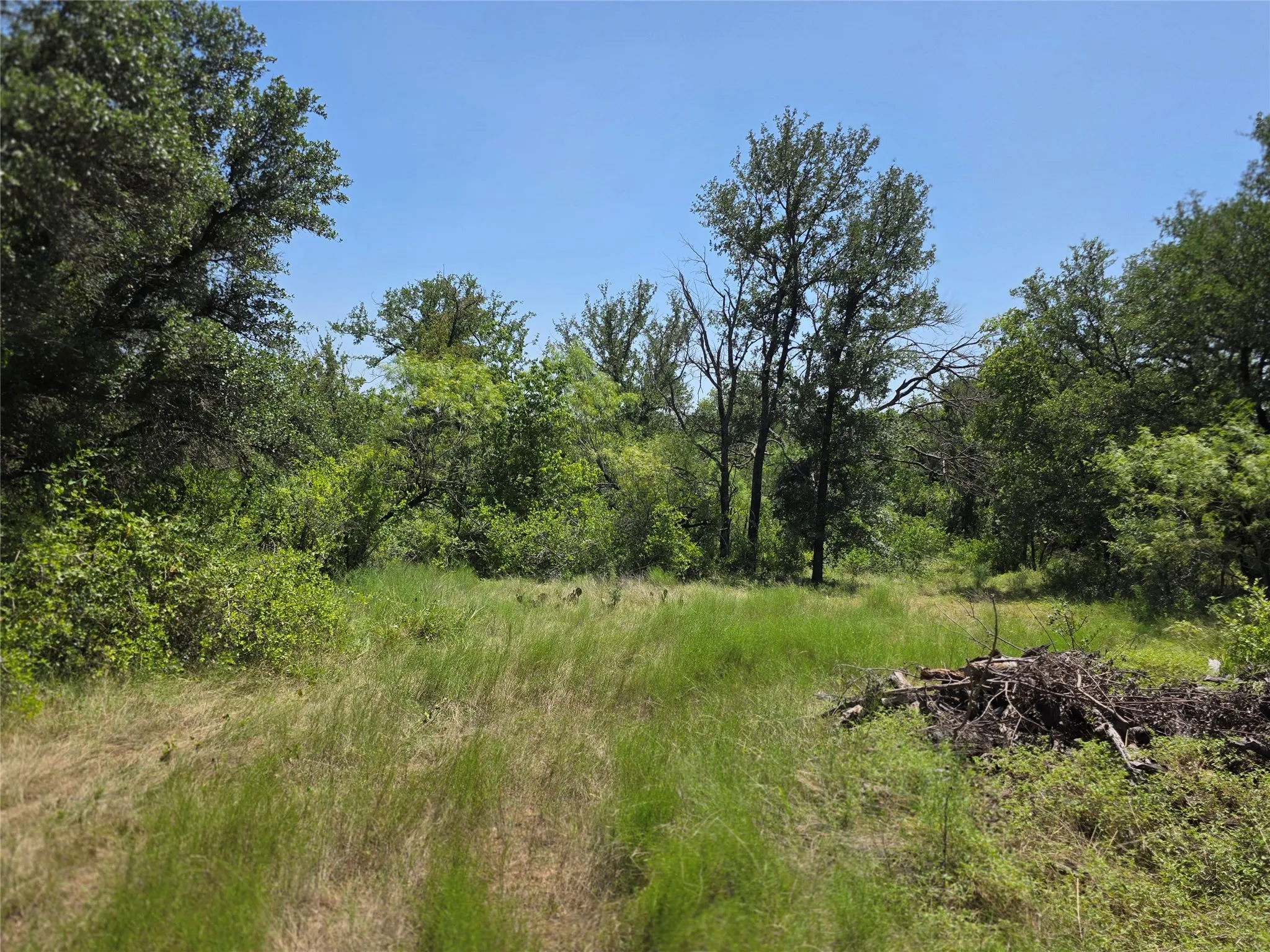 Ranch For Sale in Comanche County , 309 Hwy 36, Gustine, Texas 76455, 0, 0, Garage spaces, 0 Sqft, built in 0, mls#21208665, Real Estate Agent in Gustine, Homes For Sale in Comanche county, Homes For Sale in Gustine, Realtor in Gustine Texas, Real Estate Brokerage Independent Realty Texas, Luminita Cordes Realtor