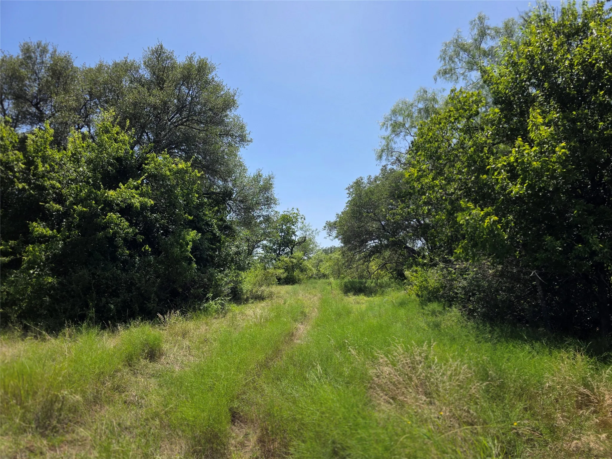 Ranch For Sale in Comanche County , 309 Hwy 36, Gustine, Texas 76455, 0, 0, Garage spaces, 0 Sqft, built in 0, mls#21208665, Real Estate Agent in Gustine, Homes For Sale in Comanche county, Homes For Sale in Gustine, Realtor in Gustine Texas, Real Estate Brokerage Independent Realty Texas, Luminita Cordes Realtor