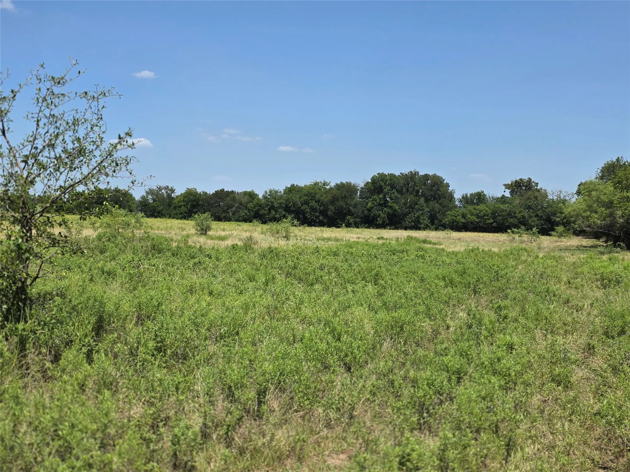 Ranch For Sale in Comanche County , 309 Hwy 36, Gustine, Texas 76455, 0, 0, Garage spaces, 0 Sqft, built in 0, mls#21208665, Real Estate Agent in Gustine, Homes For Sale in Comanche county, Homes For Sale in Gustine, Realtor in Gustine Texas, Real Estate Brokerage Independent Realty Texas, Luminita Cordes Realtor