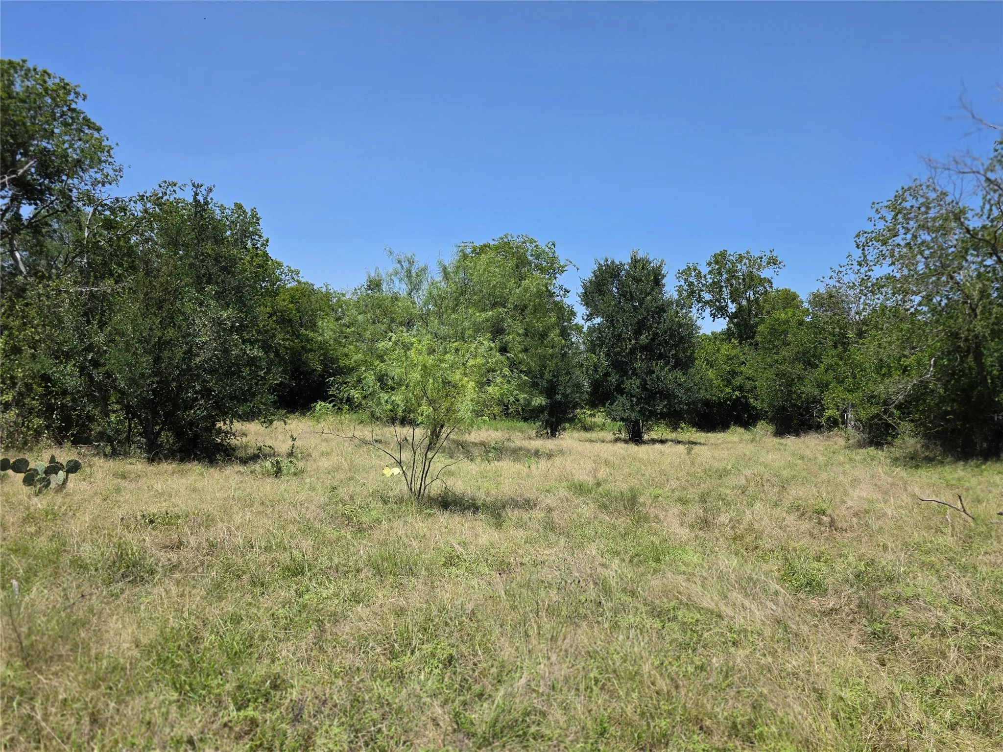 Ranch For Sale in Comanche County , 309 Hwy 36, Gustine, Texas 76455, 0, 0, Garage spaces, 0 Sqft, built in 0, mls#21208665, Real Estate Agent in Gustine, Homes For Sale in Comanche county, Homes For Sale in Gustine, Realtor in Gustine Texas, Real Estate Brokerage Independent Realty Texas, Luminita Cordes Realtor