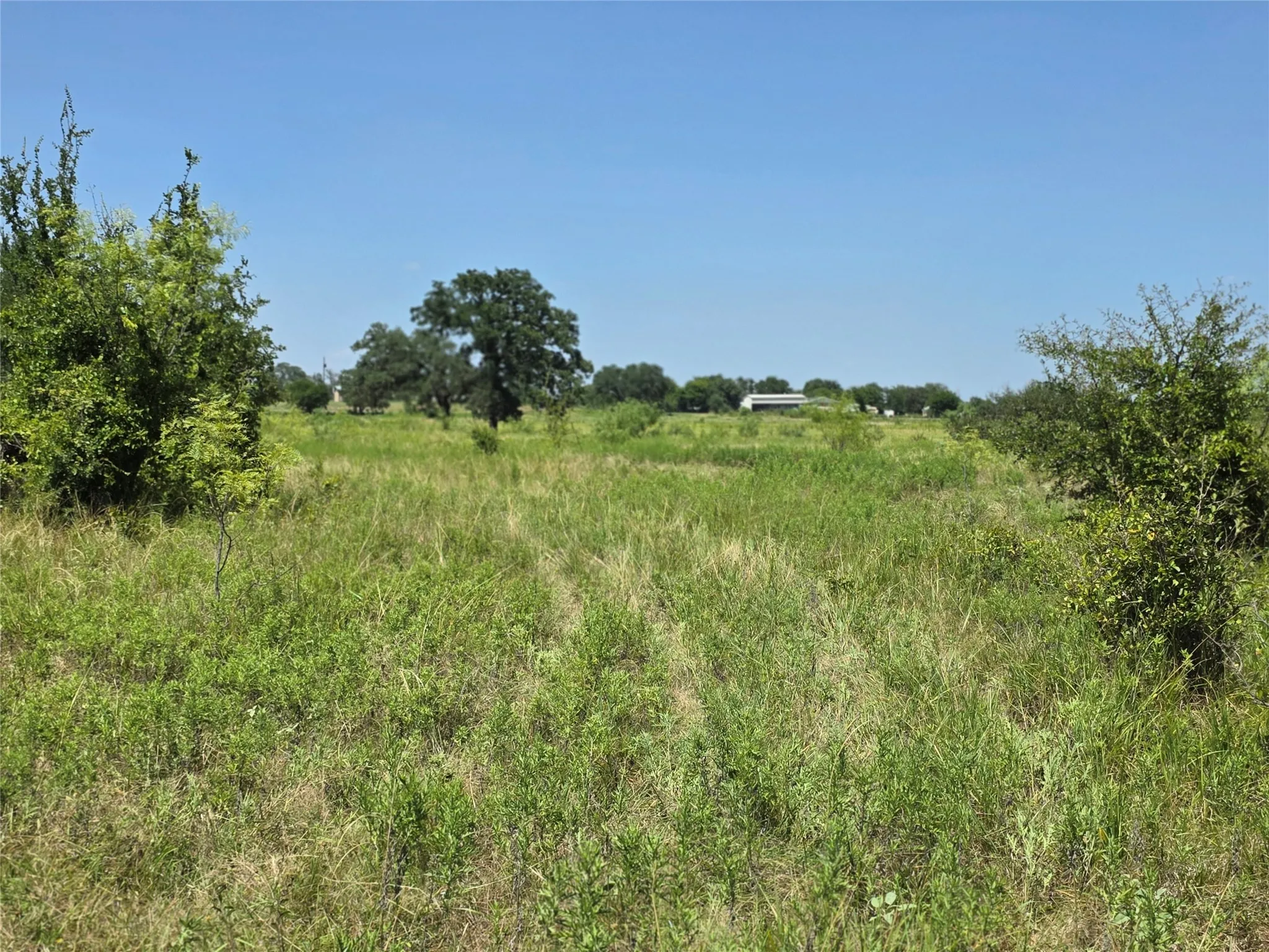 Ranch For Sale in Comanche County , 309 Hwy 36, Gustine, Texas 76455, 0, 0, Garage spaces, 0 Sqft, built in 0, mls#21208665, Real Estate Agent in Gustine, Homes For Sale in Comanche county, Homes For Sale in Gustine, Realtor in Gustine Texas, Real Estate Brokerage Independent Realty Texas, Luminita Cordes Realtor