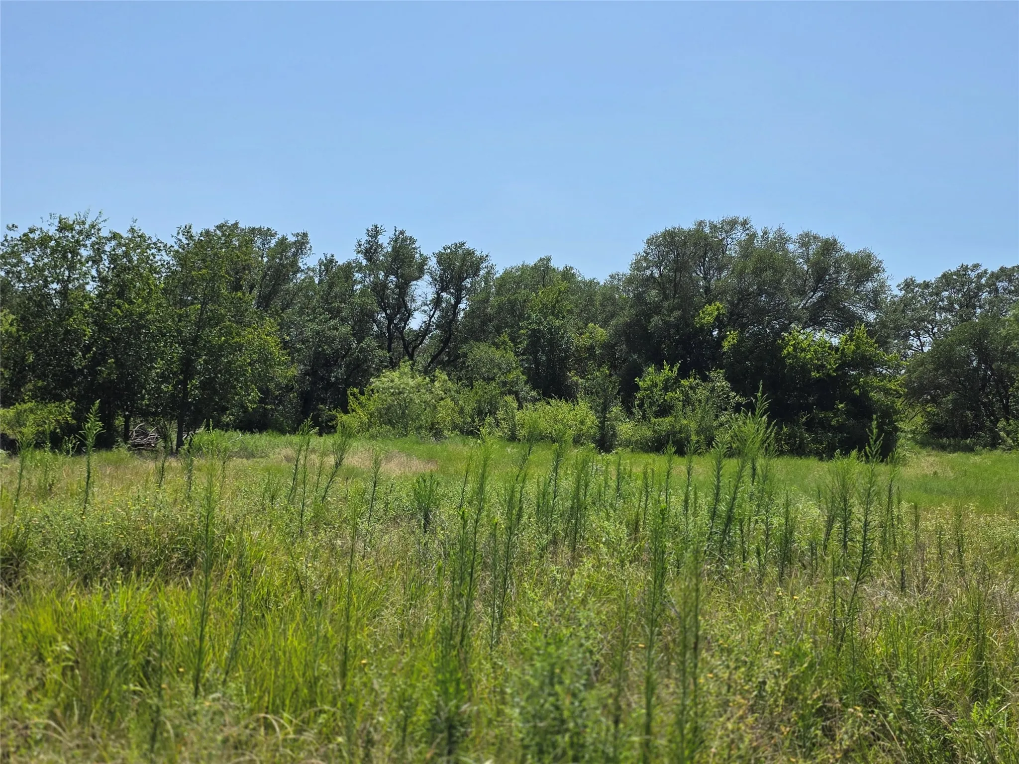 Ranch For Sale in Comanche County , 309 Hwy 36, Gustine, Texas 76455, 0, 0, Garage spaces, 0 Sqft, built in 0, mls#21208665, Real Estate Agent in Gustine, Homes For Sale in Comanche county, Homes For Sale in Gustine, Realtor in Gustine Texas, Real Estate Brokerage Independent Realty Texas, Luminita Cordes Realtor