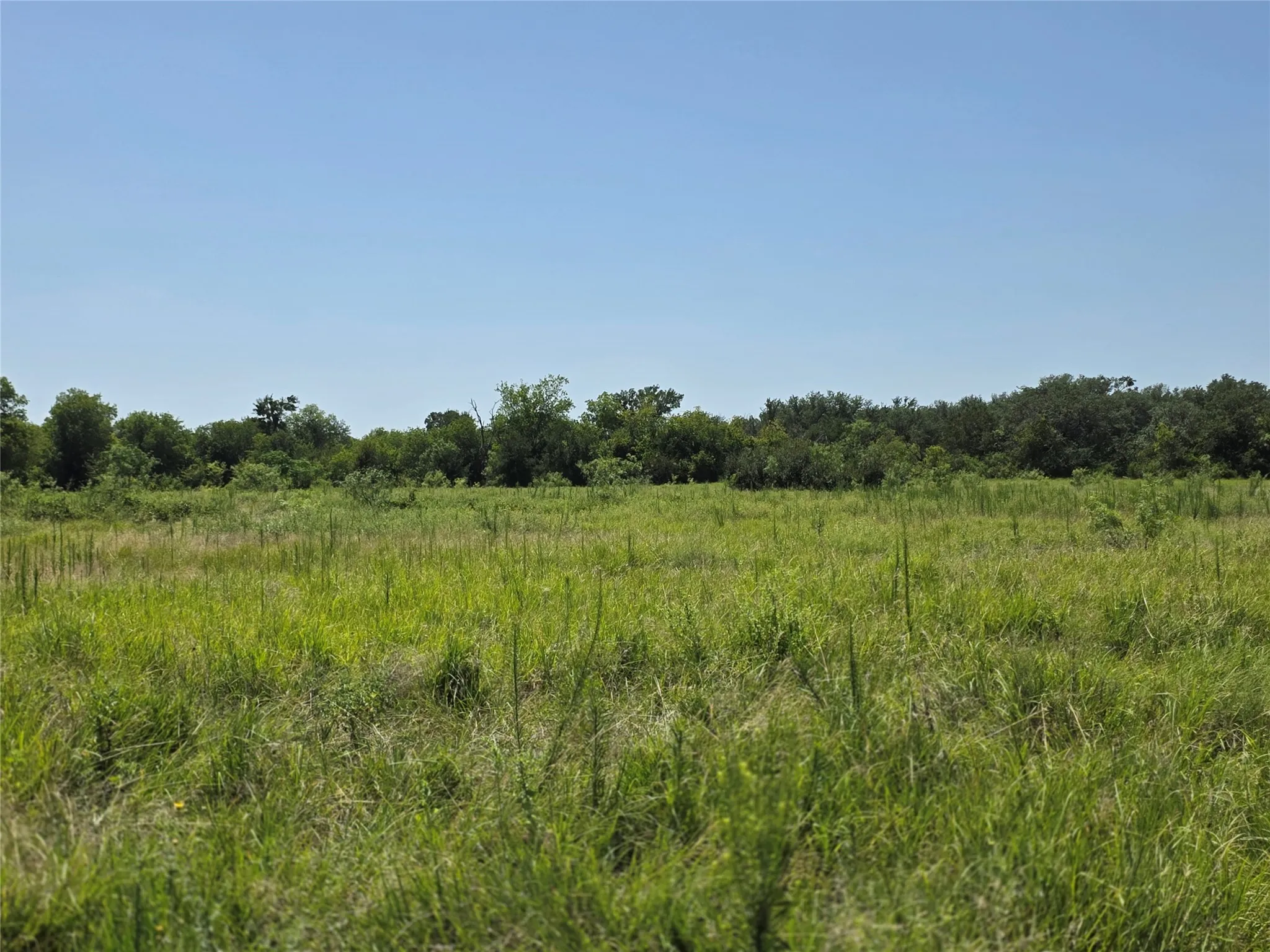 Ranch For Sale in Comanche County , 309 Hwy 36, Gustine, Texas 76455, 0, 0, Garage spaces, 0 Sqft, built in 0, mls#21208665, Real Estate Agent in Gustine, Homes For Sale in Comanche county, Homes For Sale in Gustine, Realtor in Gustine Texas, Real Estate Brokerage Independent Realty Texas, Luminita Cordes Realtor