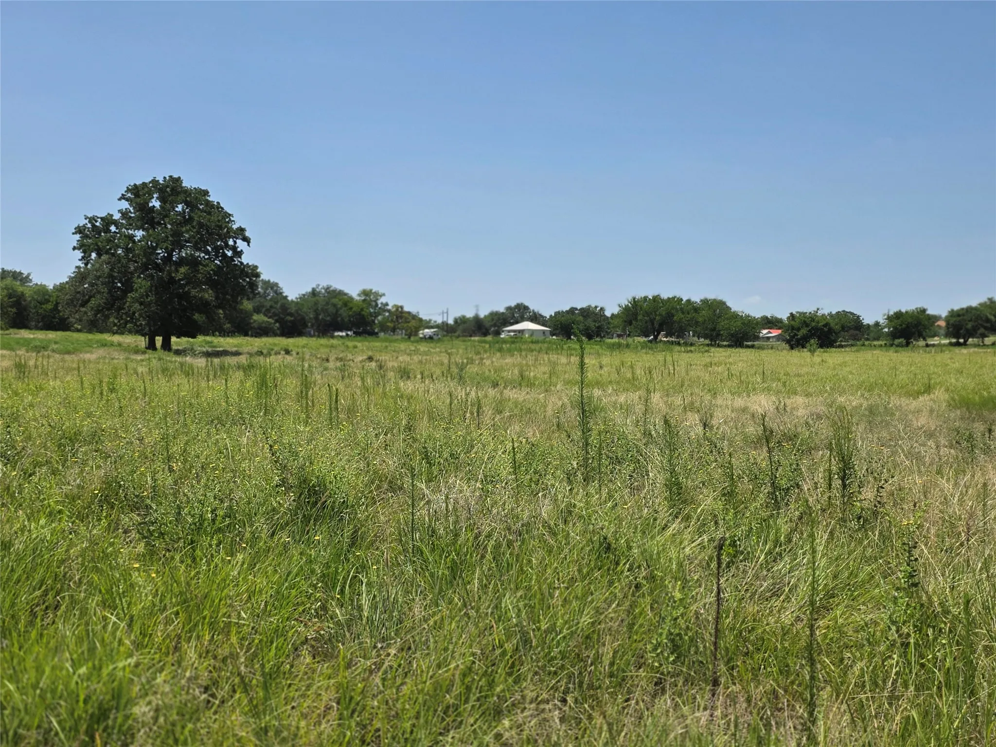 Ranch For Sale in Comanche County , 309 Hwy 36, Gustine, Texas 76455, 0, 0, Garage spaces, 0 Sqft, built in 0, mls#21208665, Real Estate Agent in Gustine, Homes For Sale in Comanche county, Homes For Sale in Gustine, Realtor in Gustine Texas, Real Estate Brokerage Independent Realty Texas, Luminita Cordes Realtor