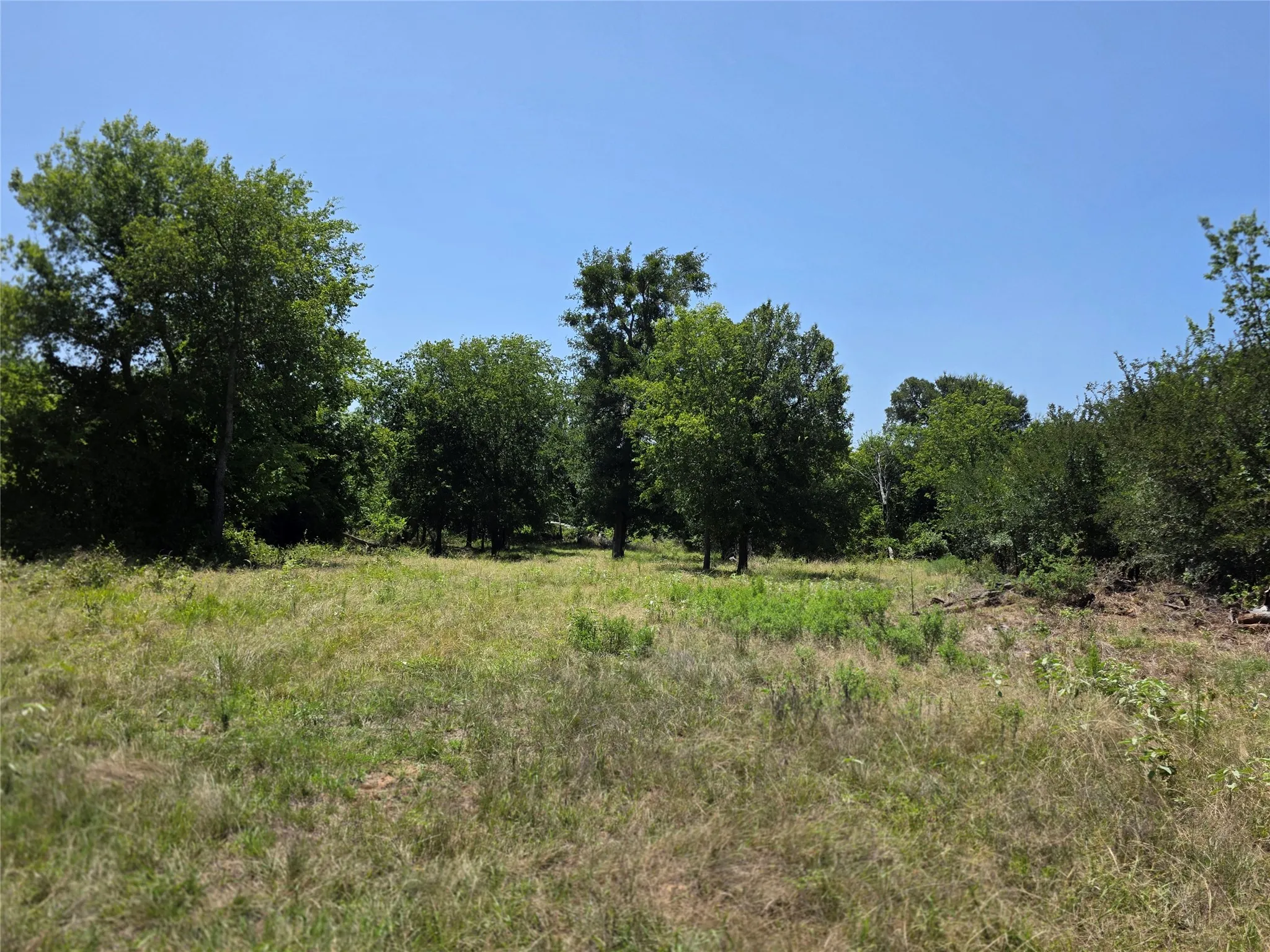 Ranch For Sale in Comanche County , 309 Hwy 36, Gustine, Texas 76455, 0, 0, Garage spaces, 0 Sqft, built in 0, mls#21208665, Real Estate Agent in Gustine, Homes For Sale in Comanche county, Homes For Sale in Gustine, Realtor in Gustine Texas, Real Estate Brokerage Independent Realty Texas, Luminita Cordes Realtor