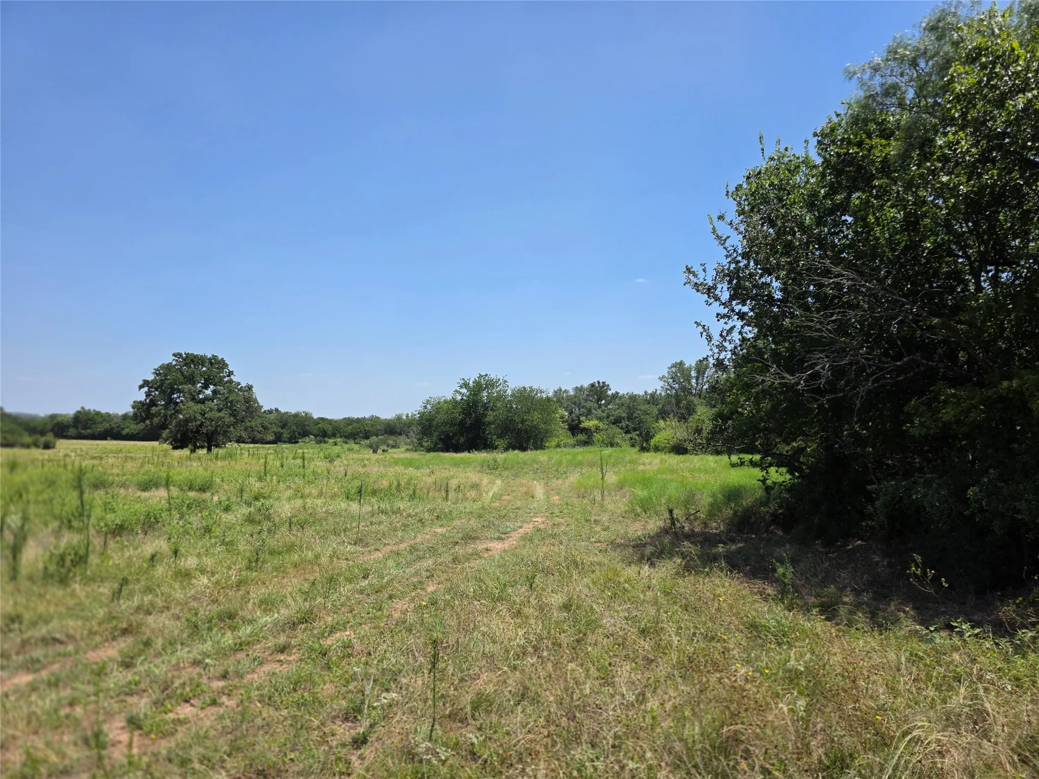 Ranch For Sale in Comanche County , 309 Hwy 36, Gustine, Texas 76455, 0, 0, Garage spaces, 0 Sqft, built in 0, mls#21208665, Real Estate Agent in Gustine, Homes For Sale in Comanche county, Homes For Sale in Gustine, Realtor in Gustine Texas, Real Estate Brokerage Independent Realty Texas, Luminita Cordes Realtor
