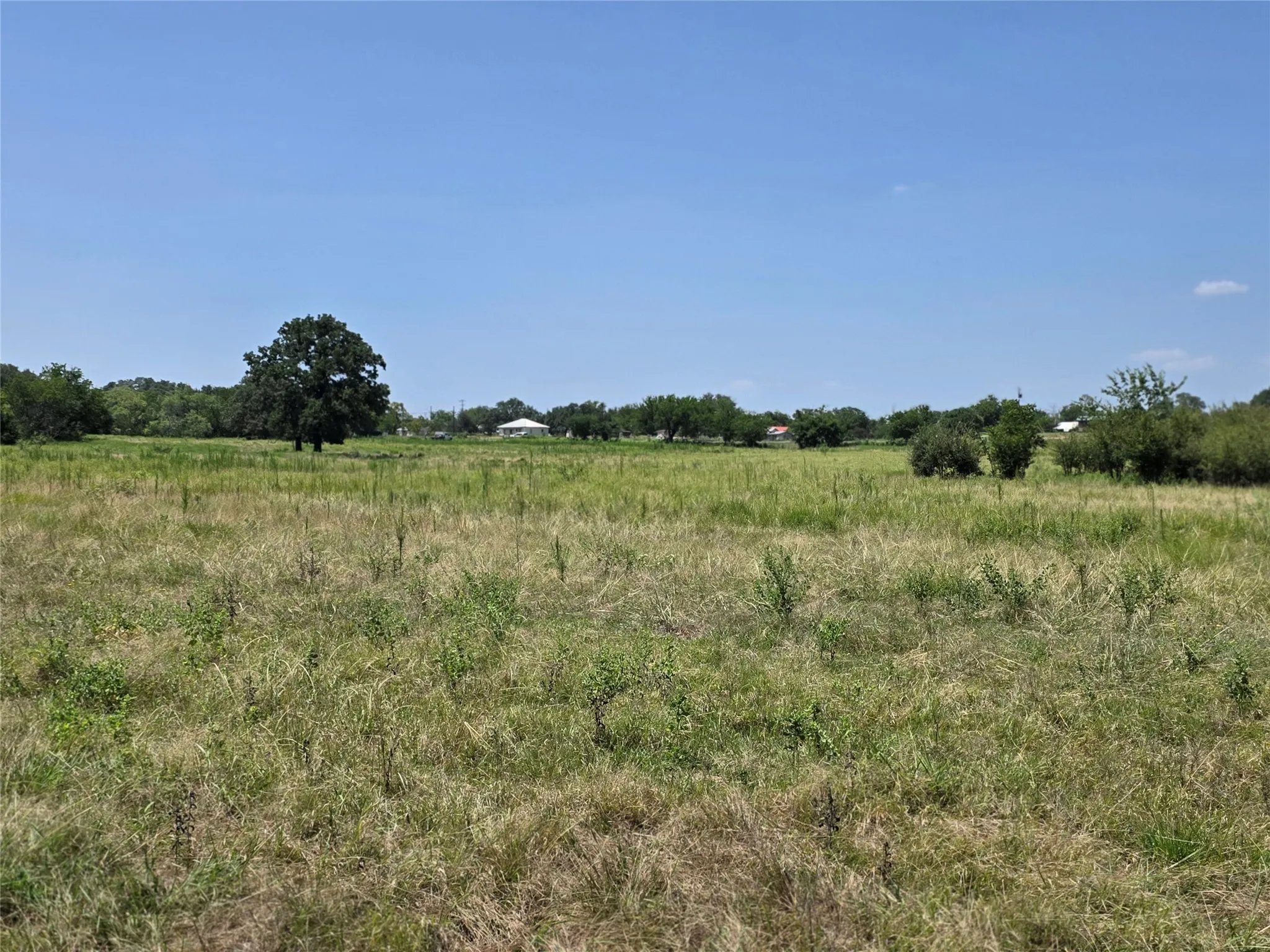 Ranch For Sale in Comanche County , 309 Hwy 36, Gustine, Texas 76455, 0, 0, Garage spaces, 0 Sqft, built in 0, mls#21208665, Real Estate Agent in Gustine, Homes For Sale in Comanche county, Homes For Sale in Gustine, Realtor in Gustine Texas, Real Estate Brokerage Independent Realty Texas, Luminita Cordes Realtor