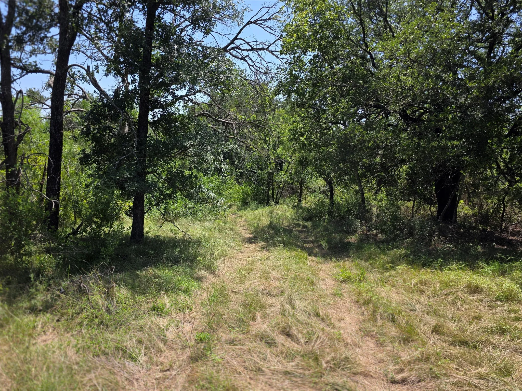 Ranch For Sale in Comanche County , 309 Hwy 36, Gustine, Texas 76455, 0, 0, Garage spaces, 0 Sqft, built in 0, mls#21208665, Real Estate Agent in Gustine, Homes For Sale in Comanche county, Homes For Sale in Gustine, Realtor in Gustine Texas, Real Estate Brokerage Independent Realty Texas, Luminita Cordes Realtor