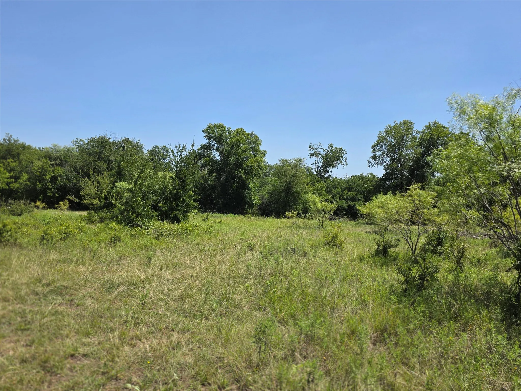 Ranch For Sale in Comanche County , 309 Hwy 36, Gustine, Texas 76455, 0, 0, Garage spaces, 0 Sqft, built in 0, mls#21208665, Real Estate Agent in Gustine, Homes For Sale in Comanche county, Homes For Sale in Gustine, Realtor in Gustine Texas, Real Estate Brokerage Independent Realty Texas, Luminita Cordes Realtor