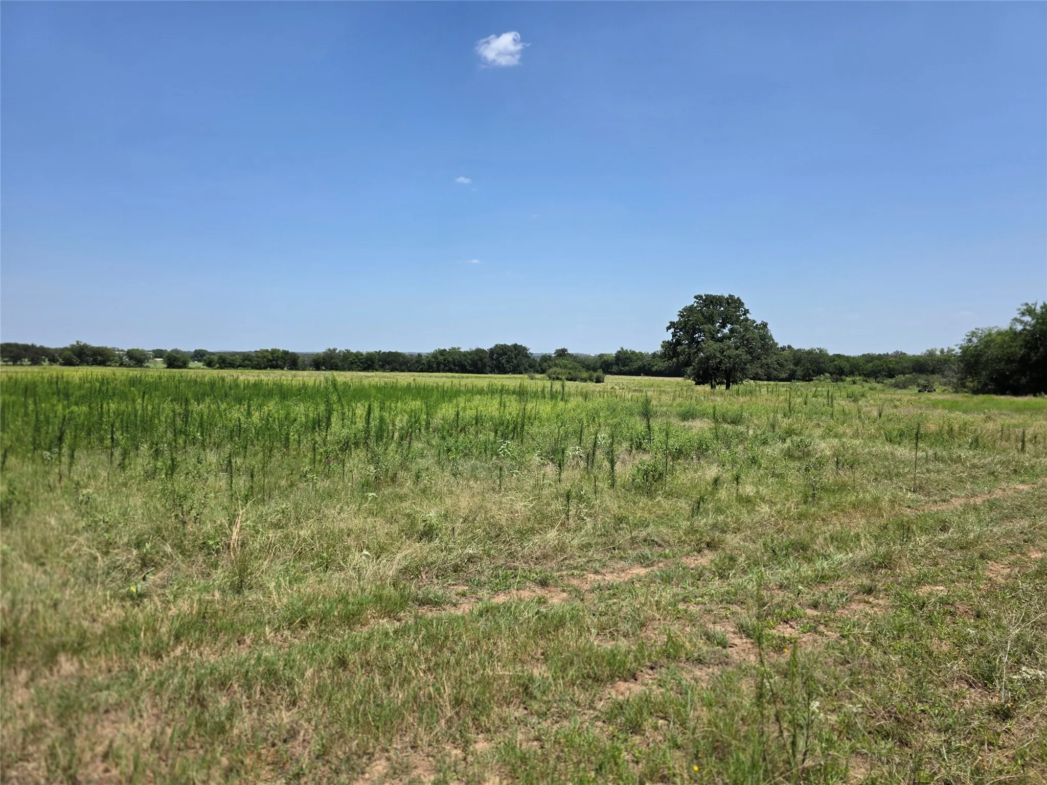 Ranch For Sale in Comanche County , 309 Hwy 36, Gustine, Texas 76455, 0, 0, Garage spaces, 0 Sqft, built in 0, mls#21208665, Real Estate Agent in Gustine, Homes For Sale in Comanche county, Homes For Sale in Gustine, Realtor in Gustine Texas, Real Estate Brokerage Independent Realty Texas, Luminita Cordes Realtor