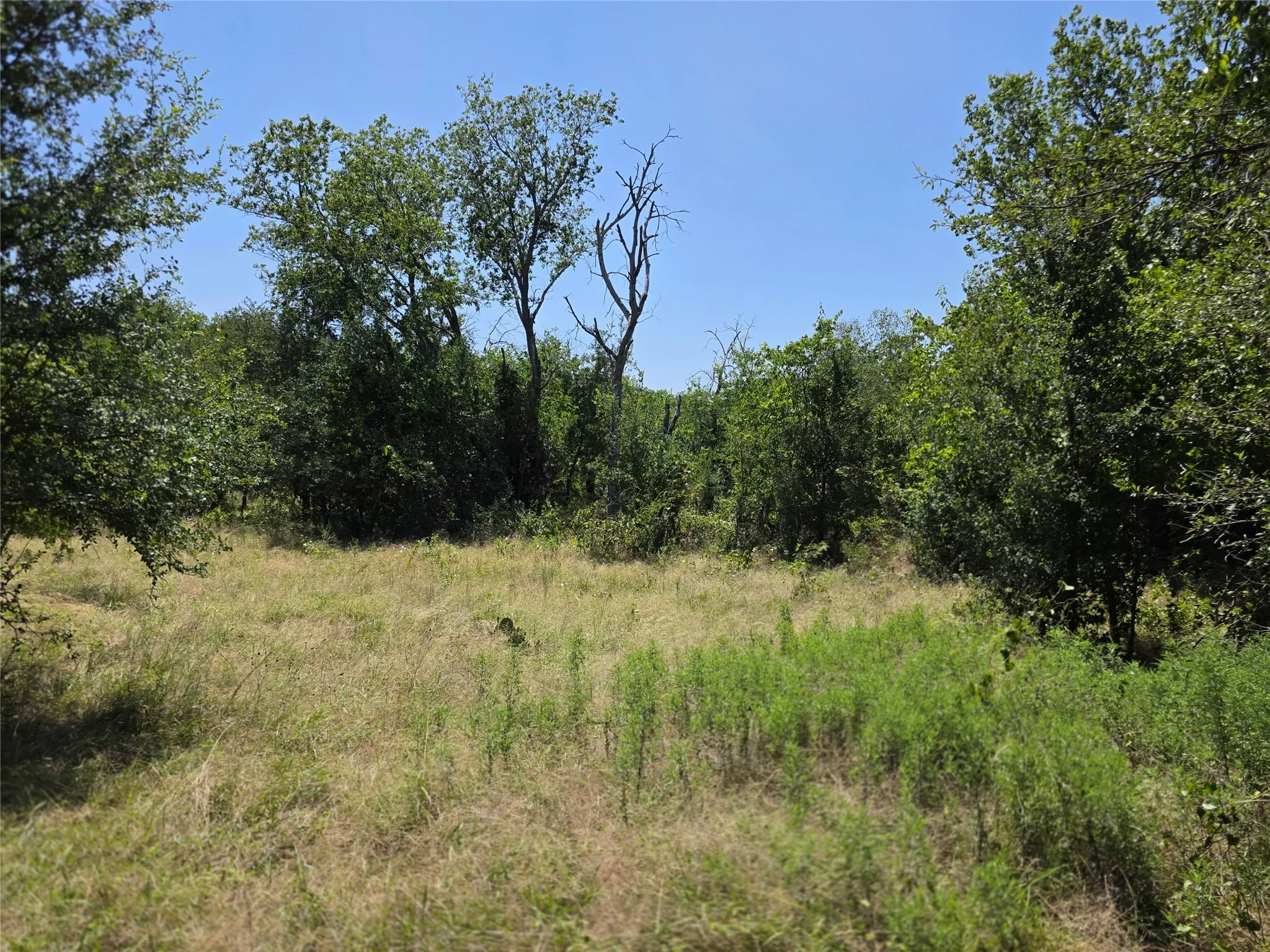 Ranch For Sale in Comanche County , 309 Hwy 36, Gustine, Texas 76455, 0, 0, Garage spaces, 0 Sqft, built in 0, mls#21208665, Real Estate Agent in Gustine, Homes For Sale in Comanche county, Homes For Sale in Gustine, Realtor in Gustine Texas, Real Estate Brokerage Independent Realty Texas, Luminita Cordes Realtor