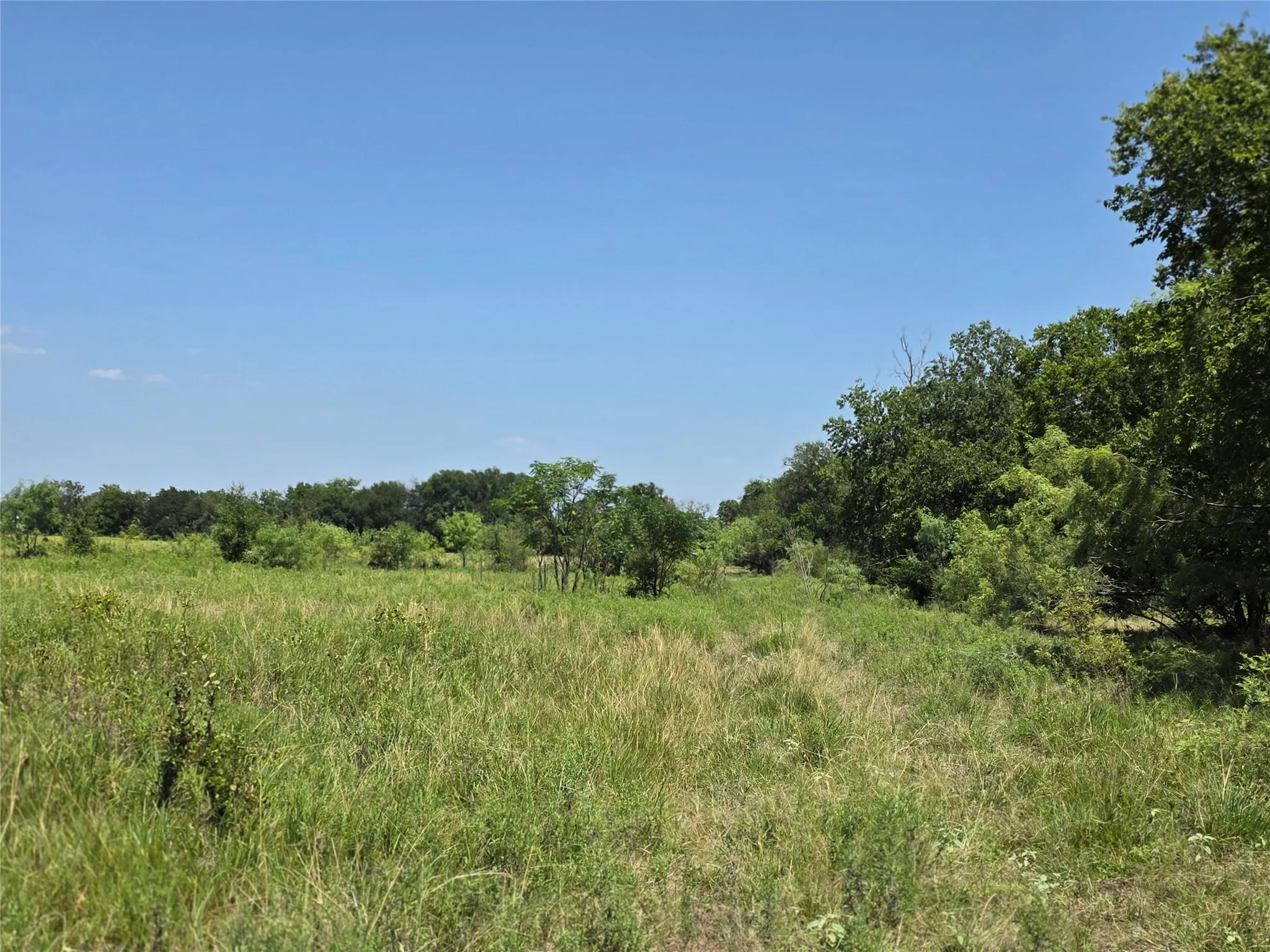 Ranch For Sale in Comanche County , 309 Hwy 36, Gustine, Texas 76455, 0, 0, Garage spaces, 0 Sqft, built in 0, mls#21208665, Real Estate Agent in Gustine, Homes For Sale in Comanche county, Homes For Sale in Gustine, Realtor in Gustine Texas, Real Estate Brokerage Independent Realty Texas, Luminita Cordes Realtor
