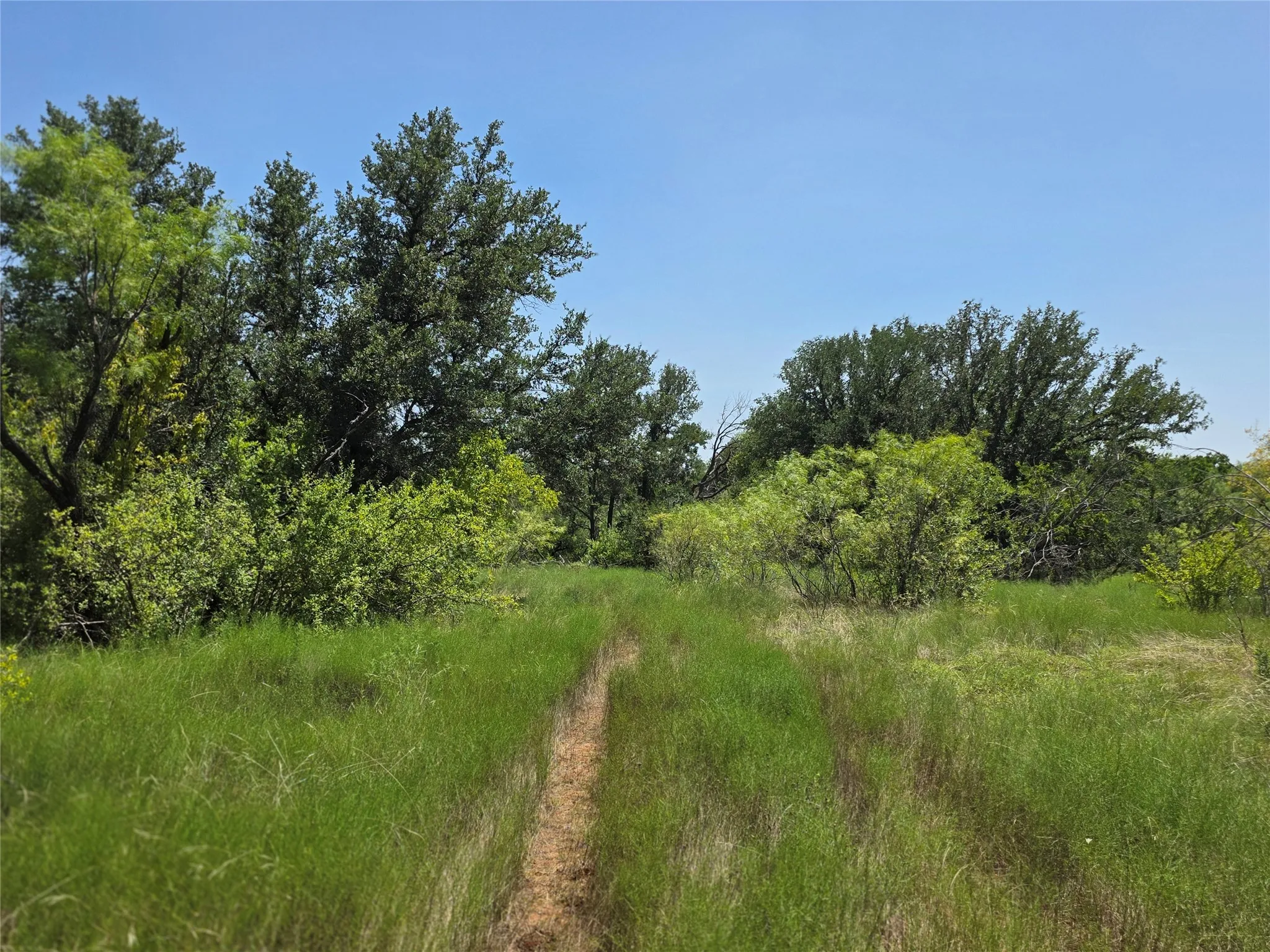 Ranch For Sale in Comanche County , 309 Hwy 36, Gustine, Texas 76455, 0, 0, Garage spaces, 0 Sqft, built in 0, mls#21208665, Real Estate Agent in Gustine, Homes For Sale in Comanche county, Homes For Sale in Gustine, Realtor in Gustine Texas, Real Estate Brokerage Independent Realty Texas, Luminita Cordes Realtor