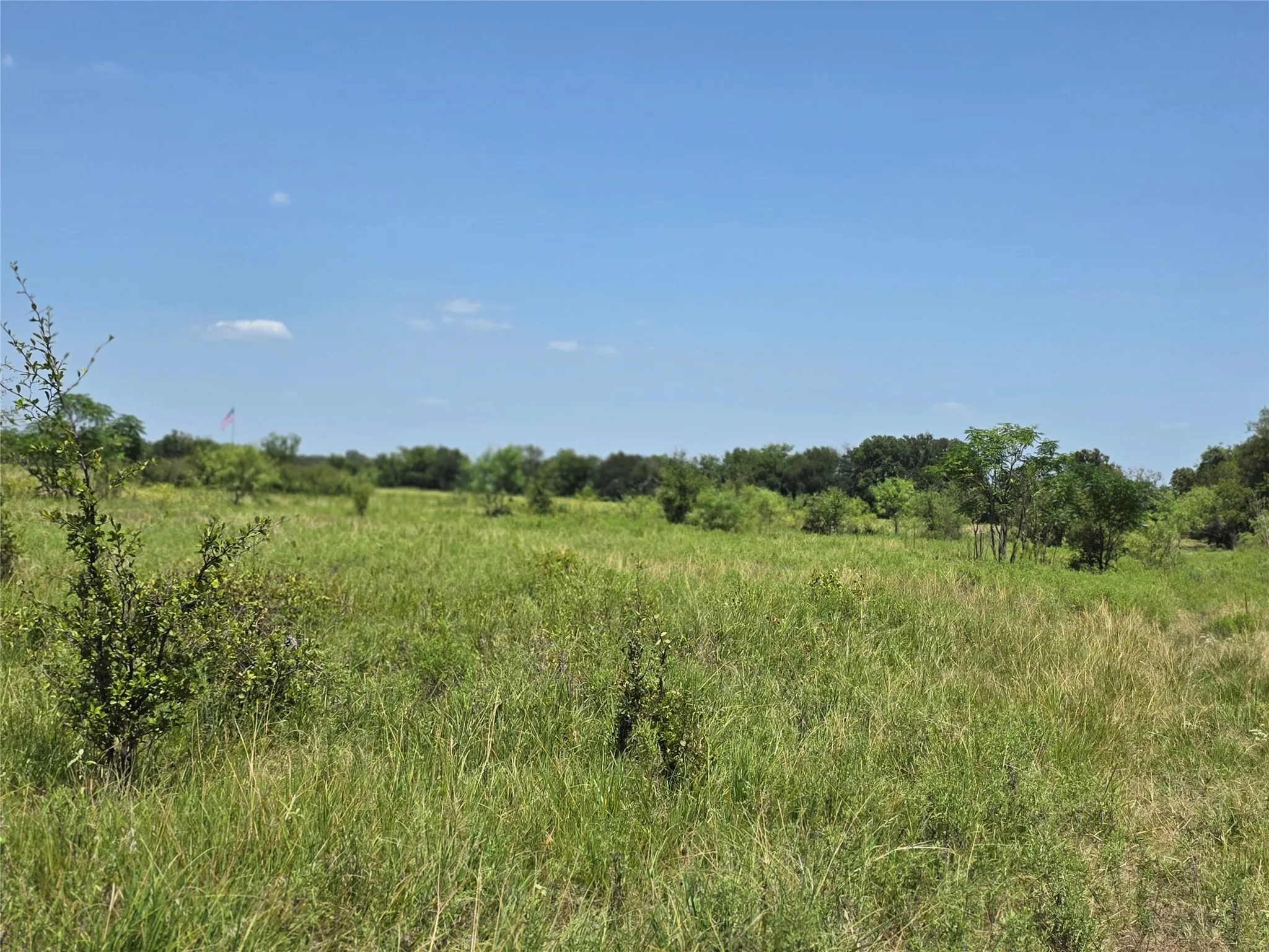 Ranch For Sale in Comanche County , 309 Hwy 36, Gustine, Texas 76455, 0, 0, Garage spaces, 0 Sqft, built in 0, mls#21208665, Real Estate Agent in Gustine, Homes For Sale in Comanche county, Homes For Sale in Gustine, Realtor in Gustine Texas, Real Estate Brokerage Independent Realty Texas, Luminita Cordes Realtor