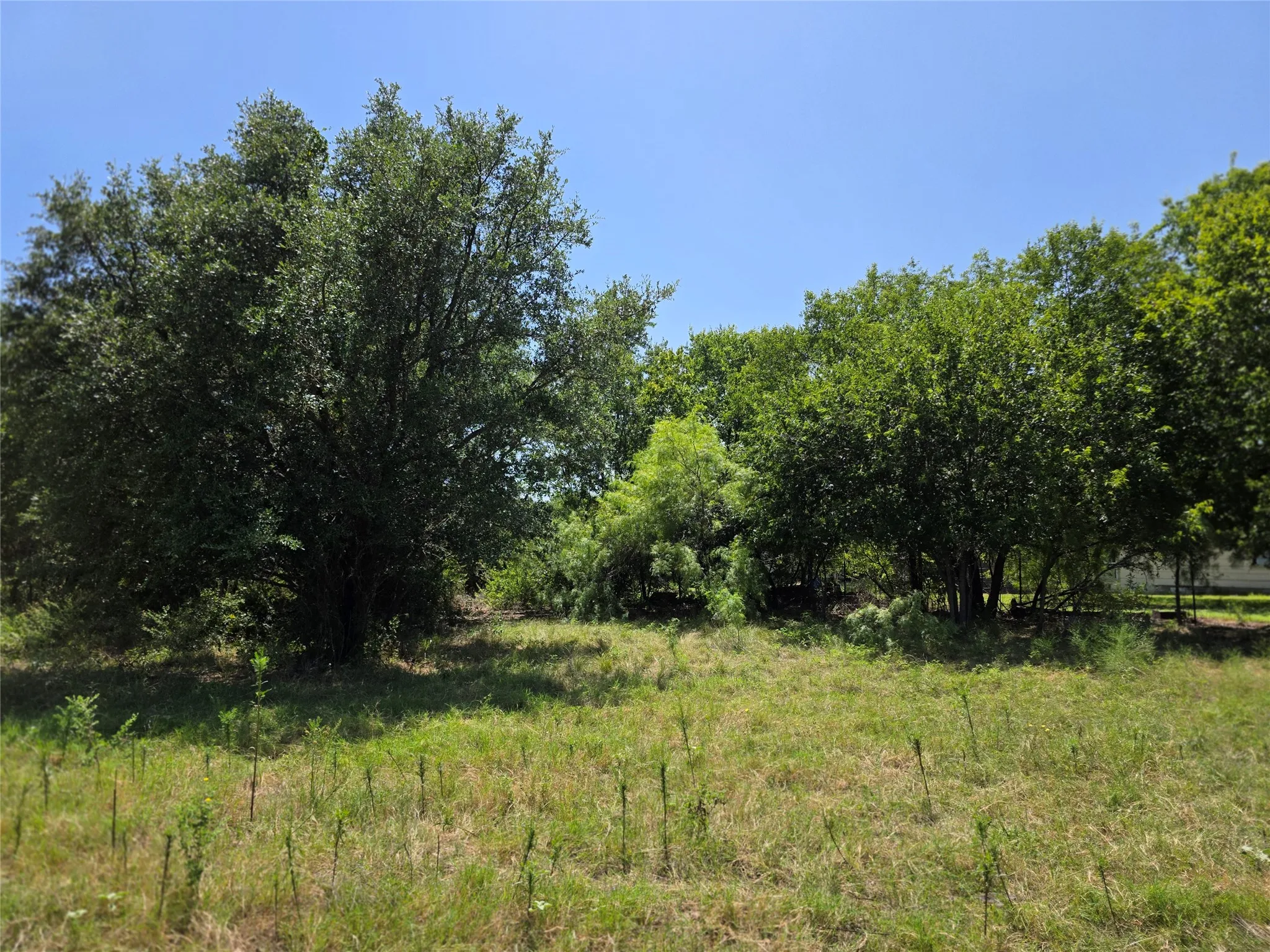 Ranch For Sale in Comanche County , 309 Hwy 36, Gustine, Texas 76455, 0, 0, Garage spaces, 0 Sqft, built in 0, mls#21208665, Real Estate Agent in Gustine, Homes For Sale in Comanche county, Homes For Sale in Gustine, Realtor in Gustine Texas, Real Estate Brokerage Independent Realty Texas, Luminita Cordes Realtor