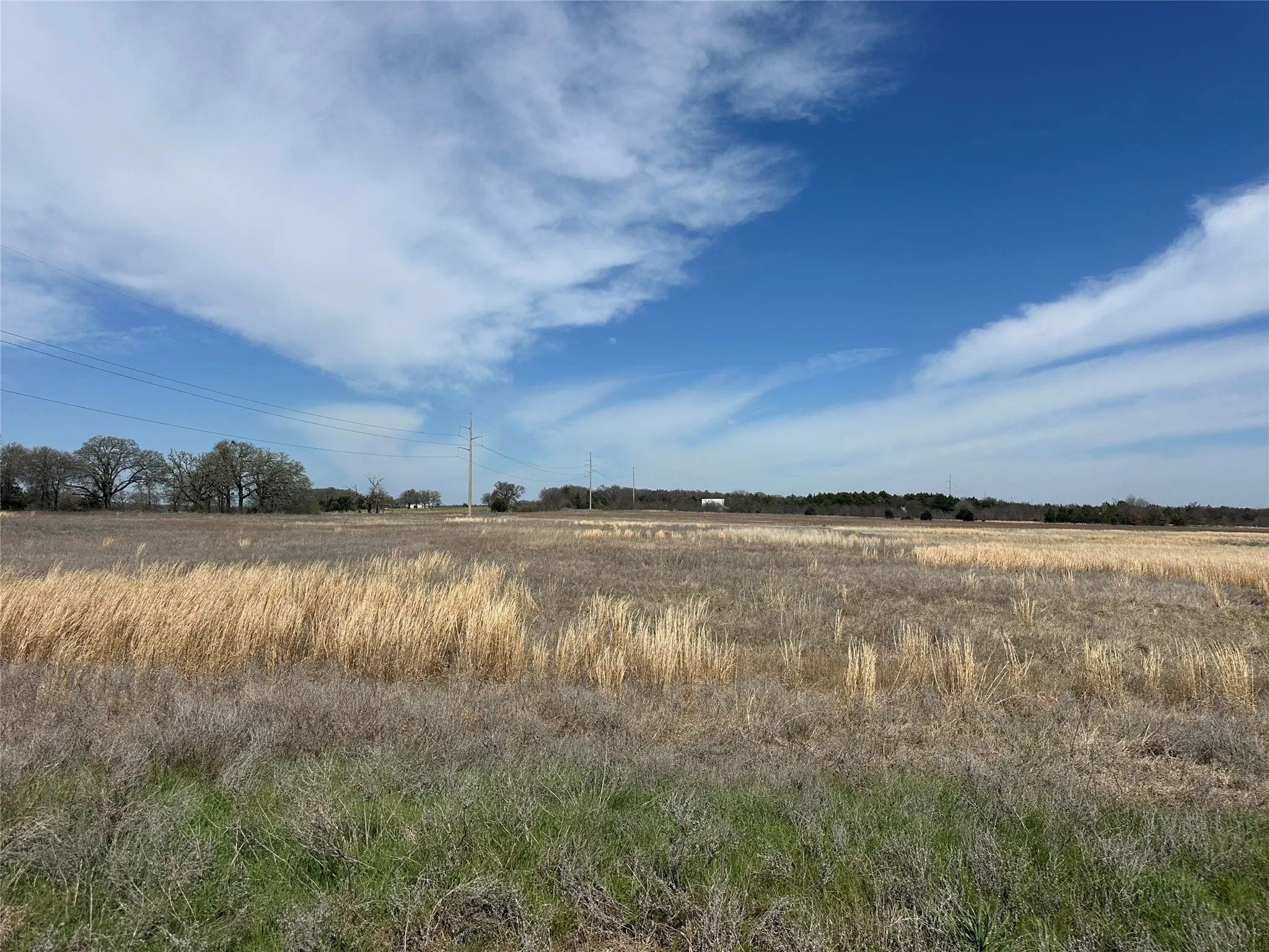 Unimproved Land For Sale in Cooke County , 445 County Road 2184, Gainesville, Texas 76240, 0, 0, Garage spaces, 0 Sqft, built in 0, mls#21208726, Real Estate Agent in Gainesville, Homes For Sale in Cooke county, Homes For Sale in Gainesville, Realtor in Gainesville Texas, Real Estate Brokerage Independent Realty Texas, Luminita Cordes Realtor