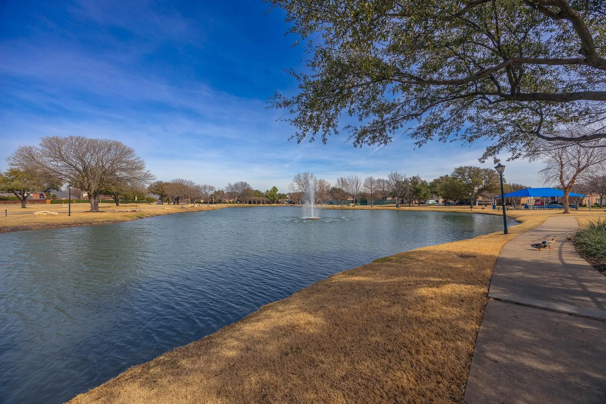 Single Family Residence For Sale in Dallas County , 9509 Glenshee Drive, Rowlett, Texas 75089, 4 Bedroom, 3 Bathroom, 2 Garage spaces, 2,556 Sqft, built in 2003, mls#21208835, Real Estate Agent in Rowlett, Homes For Sale in Dallas county, Homes For Sale in Rowlett, Realtor in Rowlett Texas, Real Estate Brokerage Independent Realty Texas, Luminita Cordes Realtor